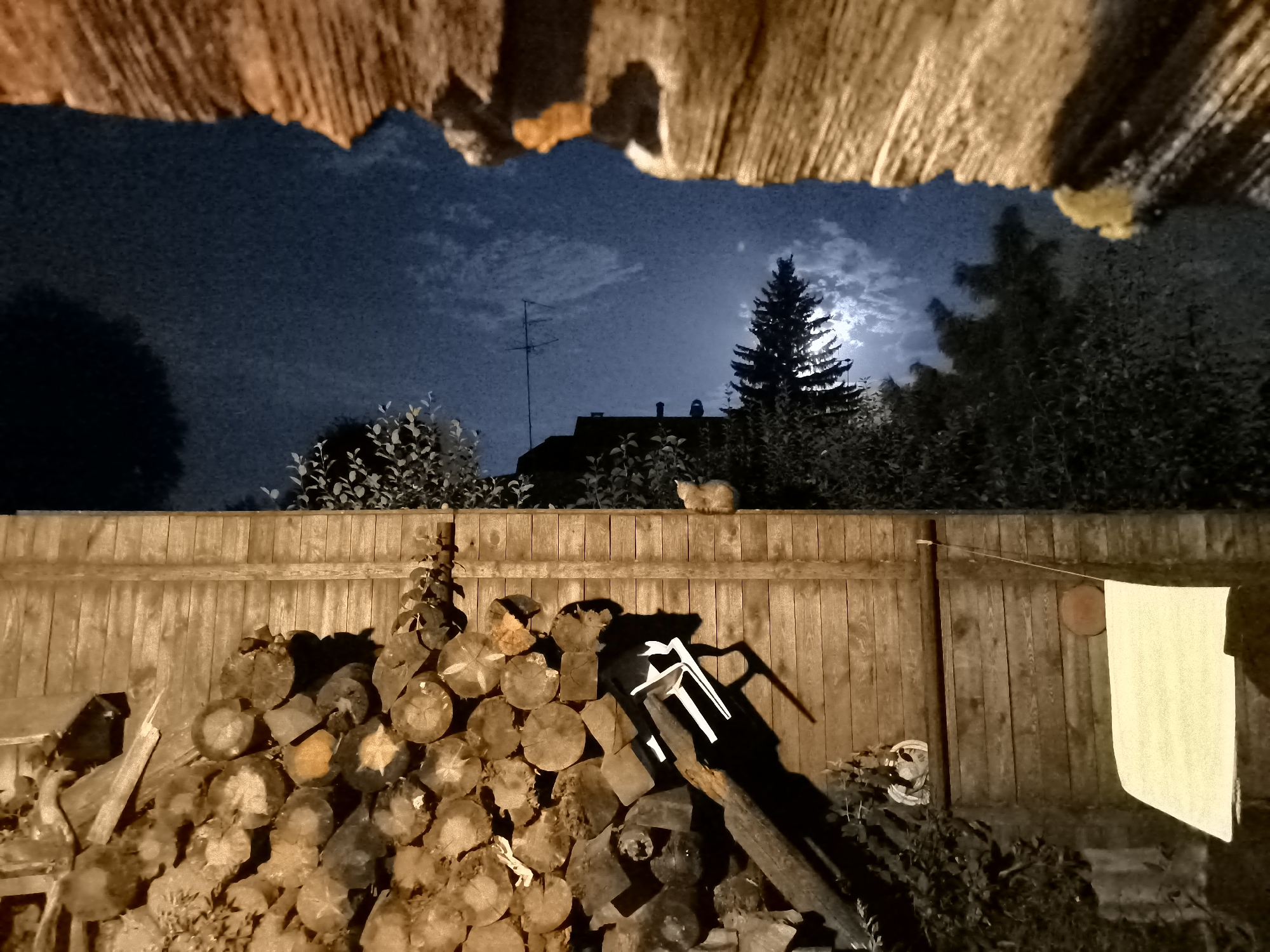 This is a nighttime, low-angle photograph taken in a backyard. The foreground is dominated by a large pile of chopped wood stacked against a wooden fence. A white object, possibly a tool, is leaning against the woodpile, casting a long shadow. To the right of the woodpile, a white towel hangs from a clothesline attached to a wooden post. The fence continues to the right, where a circular object, perhaps a plate, is affixed to it. In the background, beyond the fence, a silhouette of a house with an antenna is visible against a dark blue sky. A large evergreen tree stands to the right of the house, illuminated by a bright full moon. The top of the frame shows a textured, wooden overhang. A small, light-colored animal, possibly a cat, is perched on top of the fence, in front of the evergreen tree. The overall scene is dimly lit by the moon.