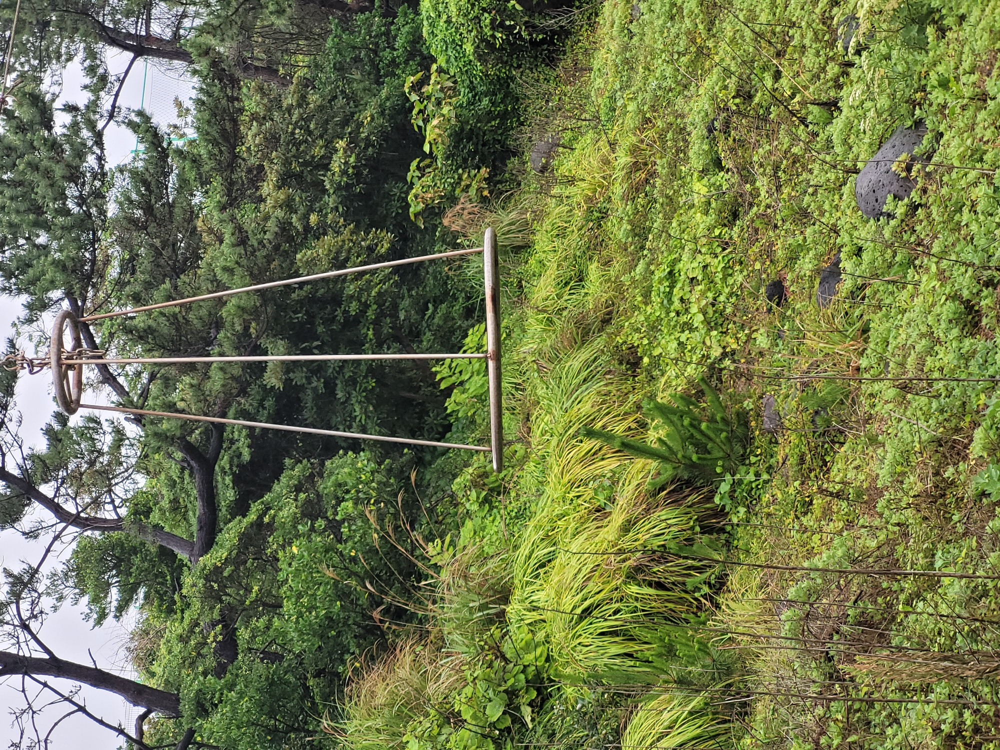 The image depicts a lush, green hillside covered in dense vegetation, with a focus on the lower half of a metal swing set. The swing set's frame is made of weathered metal poles, with a circular component at the top and horizontal bars extending outwards. The structure appears to be old and has a slightly rusty patina.
The background is dominated by a dense forest of various green trees, some of which have dark, gnarled trunks. The foliage is thick and varied, suggesting a natural, untamed environment. The ground is covered in a mix of grasses, small leafy plants, and some larger, dark rocks that are partially obscured by the greenery. The overall impression is one of a natural, perhaps slightly overgrown, outdoor setting.
The lighting is soft and diffused, indicating an overcast or cloudy day. There are no people or animals visible in the frame, and no specific activity is taking place. The scene is static, emphasizing the natural landscape and the presence of the solitary swing set. The location context points to Seogwipo-si, South Korea, which is known for its scenic beauty and natural landscapes. There is no visible text in the image.