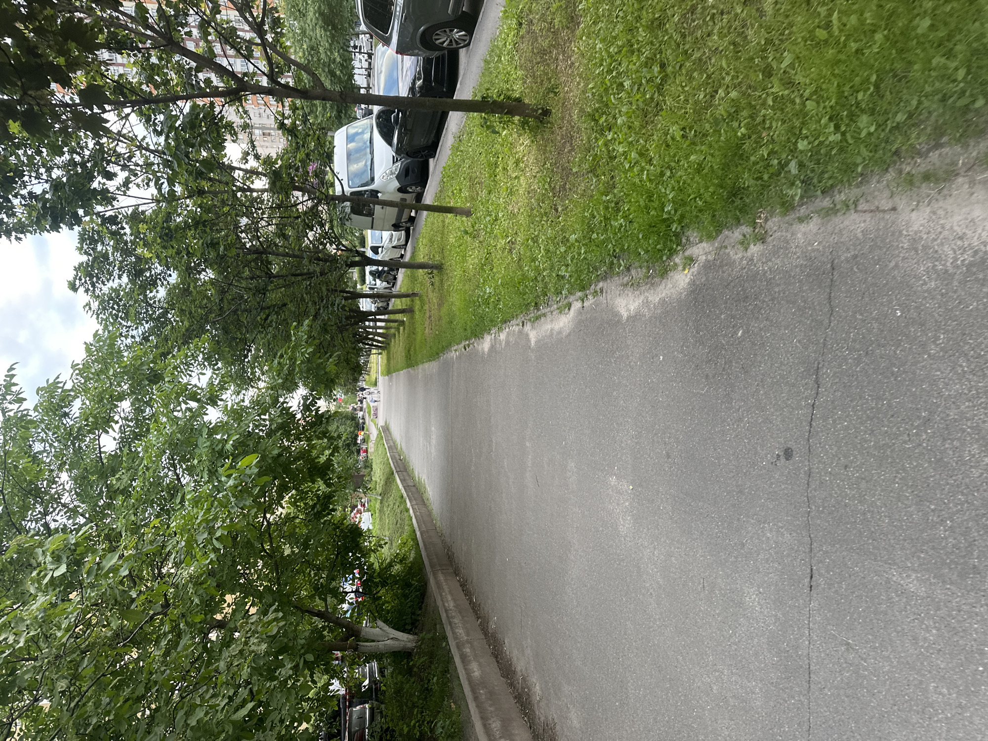 A paved sidewalk runs through a tree-lined street in Kyiv, Ukraine. On the left side of the sidewalk, there is a grassy area with a concrete curb and some trees. On the right side of the sidewalk, there is a grassy area with a row of parked cars and apartment buildings in the background. Several people can be seen walking in the distance. The sky is cloudy.
