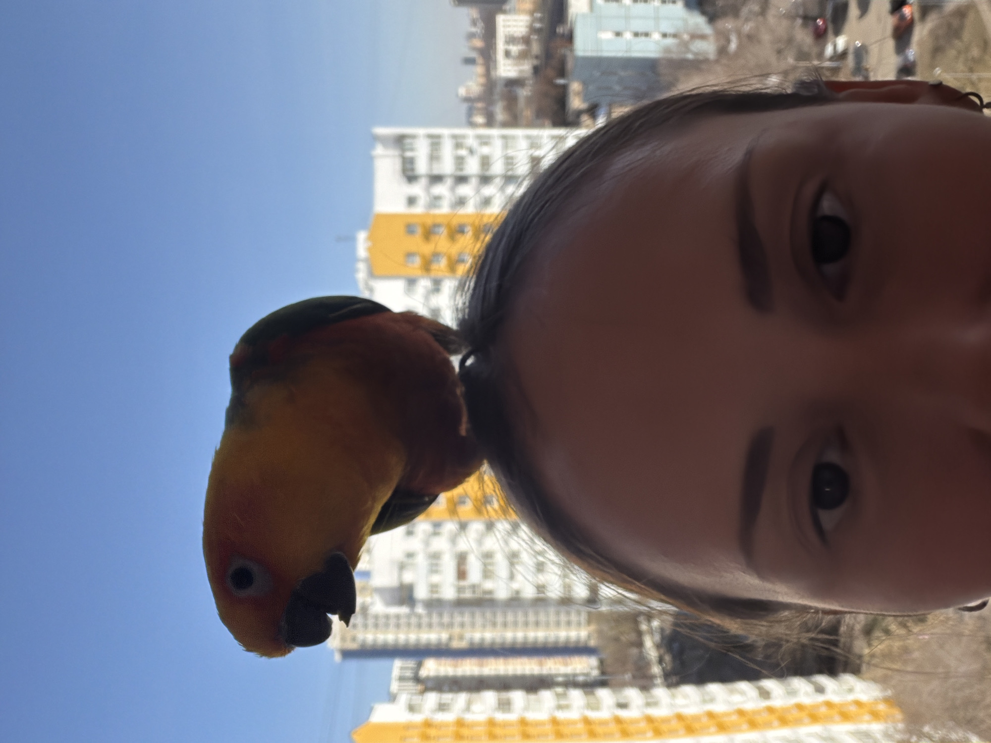 A selfie shows a person with brown hair pulled into a ponytail, with a sun conure parrot perched on top of the ponytail. The person faces the camera and the parrot faces to the left. The background includes residential buildings, indicating an urban environment. Based on the architecture of the buildings, the location is likely Khimki, Russia. The sky is blue and clear.
