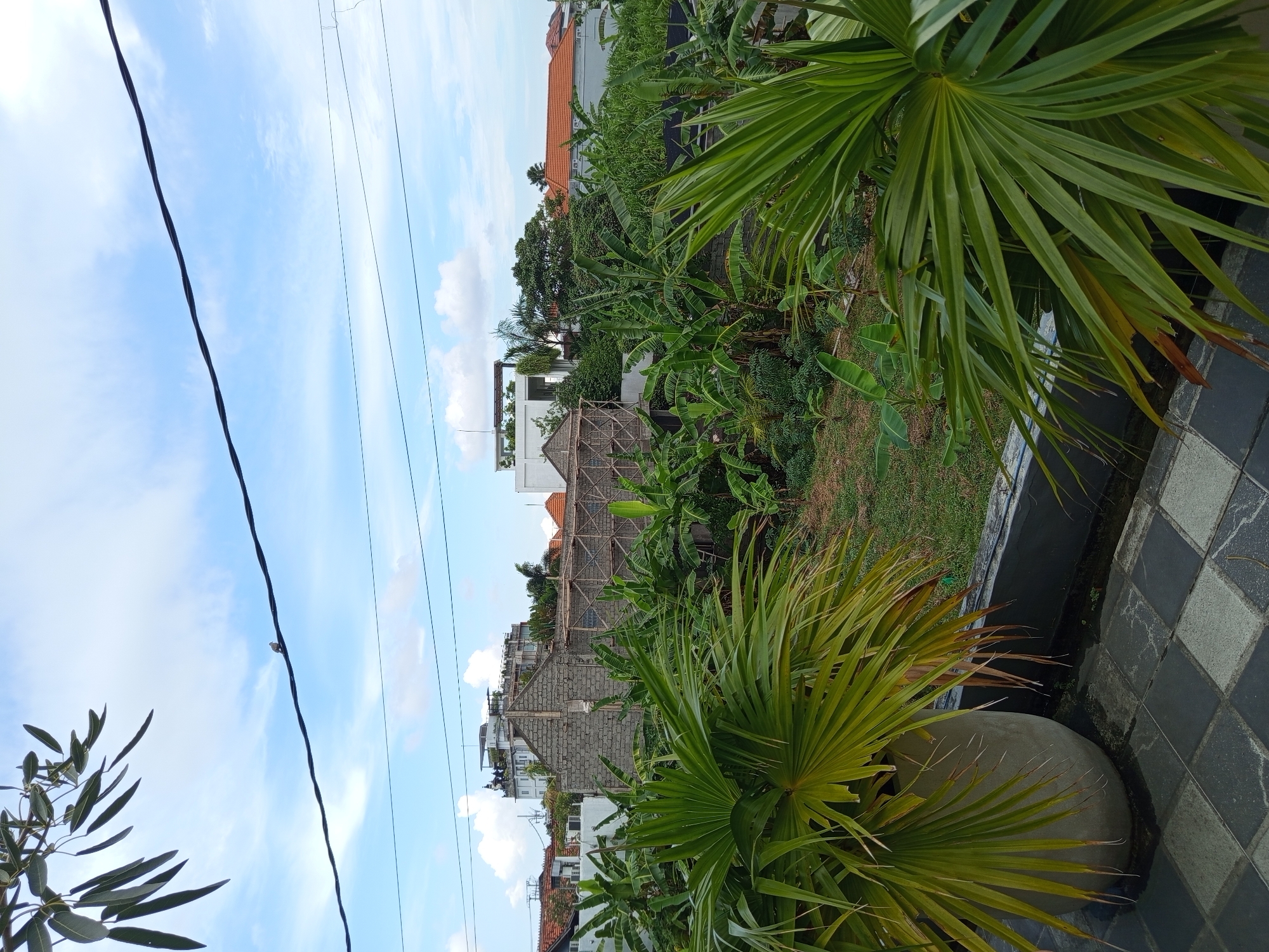An outdoor scene in North Kuta, Indonesia, features lush greenery and construction. In the foreground, large potted palm plants frame the view. Beyond them, a variety of tropical plants, including banana trees, grow densely. A building under construction, made of grey bricks and wooden scaffolding, is visible in the mid-ground. Further in the background, several modern buildings with white facades and orange tiled roofs are situated amongst more trees. The sky above is a bright blue with scattered white clouds, and power lines are strung across the upper portion of the frame. A small bird is perched on one of the power lines. The ground in the foreground is paved with a black and white checkered pattern.