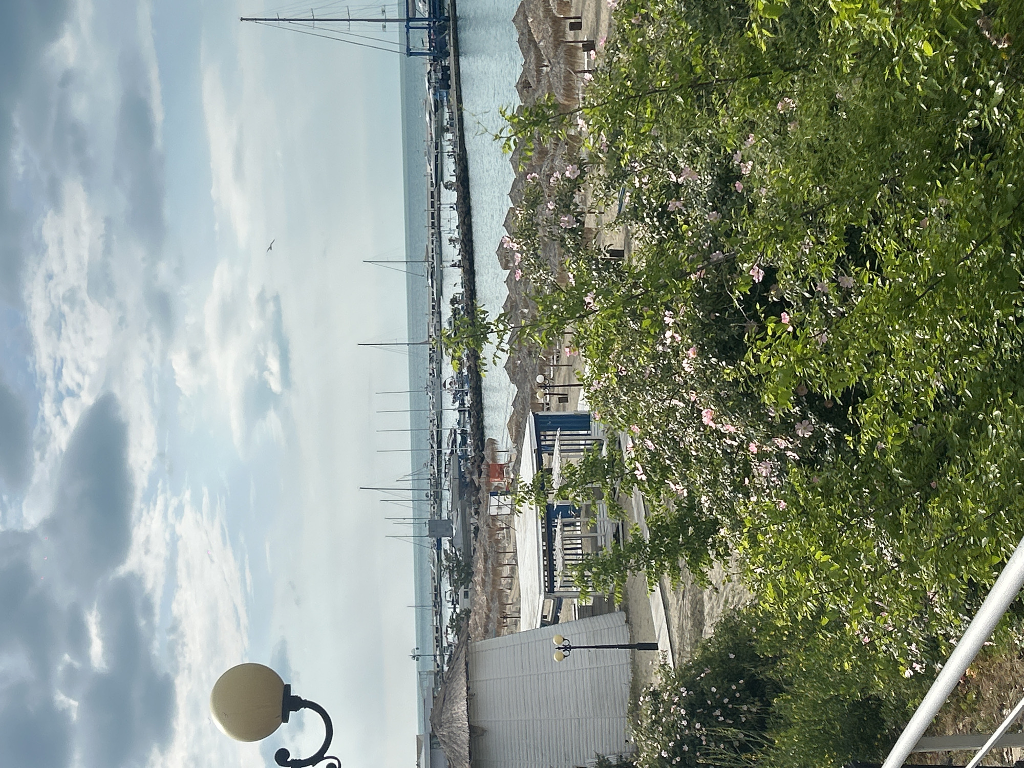 Captured from an elevated perspective, the image showcases the coastal landscape of Sveti Vlas, Bulgaria. A harbor filled with sailboats extends into the open sea, defined by the masts jutting into the cloudy sky. Along the waterfront, a line of beach umbrellas provides shade. A building with a white exterior is present. A portion of a bush featuring pink flowers frames the scene. A street lamp is visible in the lower left corner.