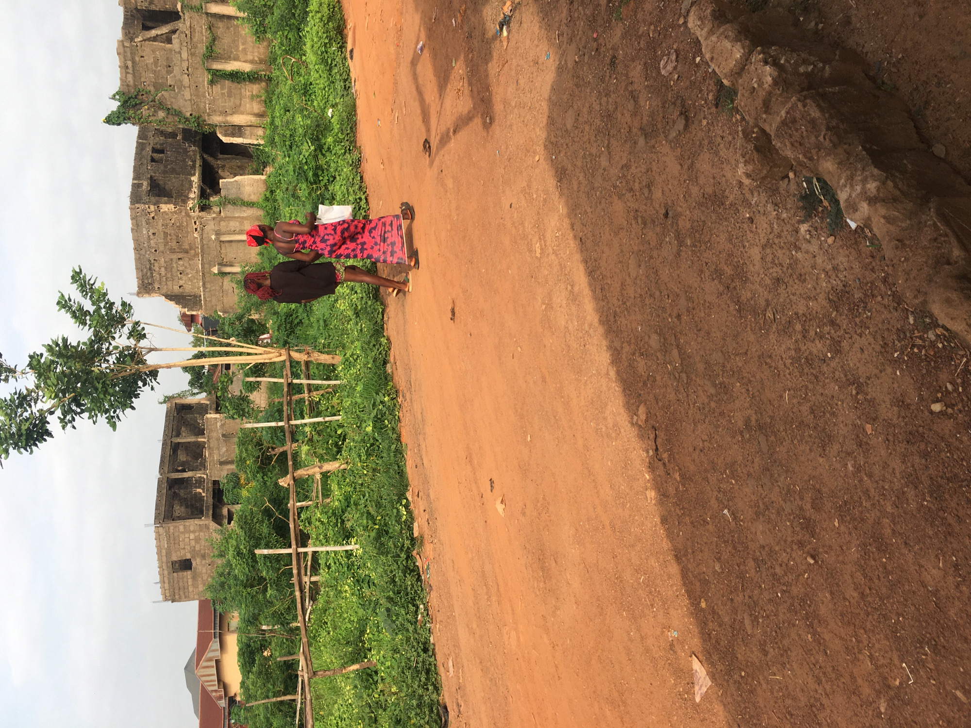 The image captures a scene in Isieke, Nigeria, showing two women walking on a dirt path alongside overgrown vegetation and unfinished buildings under an overcast sky.
**Subjects:** Two women are walking from left to right across the middle ground of the image. The woman in front wears a red patterned dress and a red head covering, carrying a white bag. Behind her, another woman is dressed in dark clothing, possibly a dark top and a dark skirt or wrapper, with dark hair or a dark head covering. Both appear to be wearing sandals. In the background, there are several large, multi-story concrete structures that appear to be either unfinished or derelict, with some green vines growing on them. To the far left, a tree with green leaves is visible.
**Scene and Setting:** The primary setting is a wide, reddish-brown dirt path or road that occupies the right half and foreground of the image. To the left of the path, there is a strip of dense green foliage, appearing wild and unkempt, with some wooden stakes or fences interspersed within it. Beyond the vegetation, the aforementioned concrete buildings rise. The sky, visible at the top left, is a uniform light gray, indicating an overcast day.
**Activity:** The two women are in the process of walking along the dirt path.
**Notable Details:** The time of day appears to be daytime, possibly mid-day, given the overall brightness, although the overcast sky diffuses direct sunlight. Shadows of unseen objects or individuals are cast on the dirt path. The buildings in the background, constructed from concrete blocks and lacking finishes, suggest a developing or economically challenged area. There is no visible text in the image. The environment, with its dirt roads, specific building styles, and vegetation, aligns with the provided location context of Isieke, Nigeria.