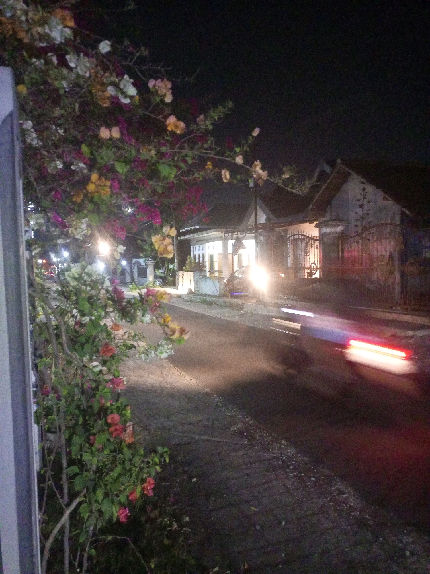 A night-time street scene in Ngasem, Indonesia features a vehicle moving left to right, indicated by light streaks on the asphalt. In the foreground, a large flowering plant with colorful blooms in shades of pink, white, yellow, and orange is positioned on the left side of the frame. The plant's branches extend into the composition, partially obscuring a residential building with a prominent gate in the background. The building appears to be illuminated from within and by external lights, casting a glow onto the street. Streetlights are visible further down the road.