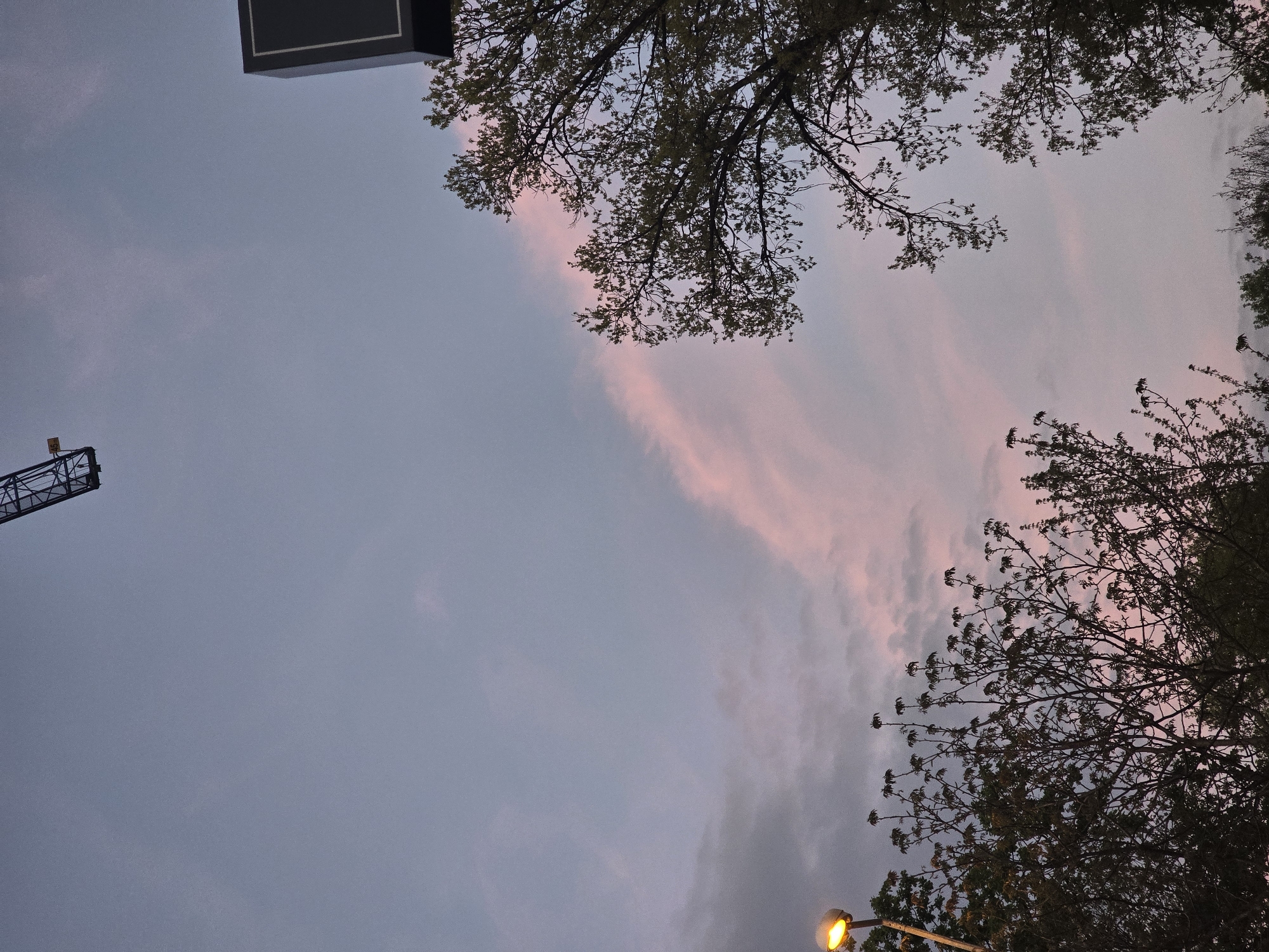 The image shows a low-angle view of the sky, framed by trees on the upper and right sides, a building on the upper left, and a crane on the lower left. The sky is a mix of gray and pink hues, suggesting either dawn or dusk. A lit street lamp is visible in the lower right corner. The photo was taken from Sofia, Bulgaria.
