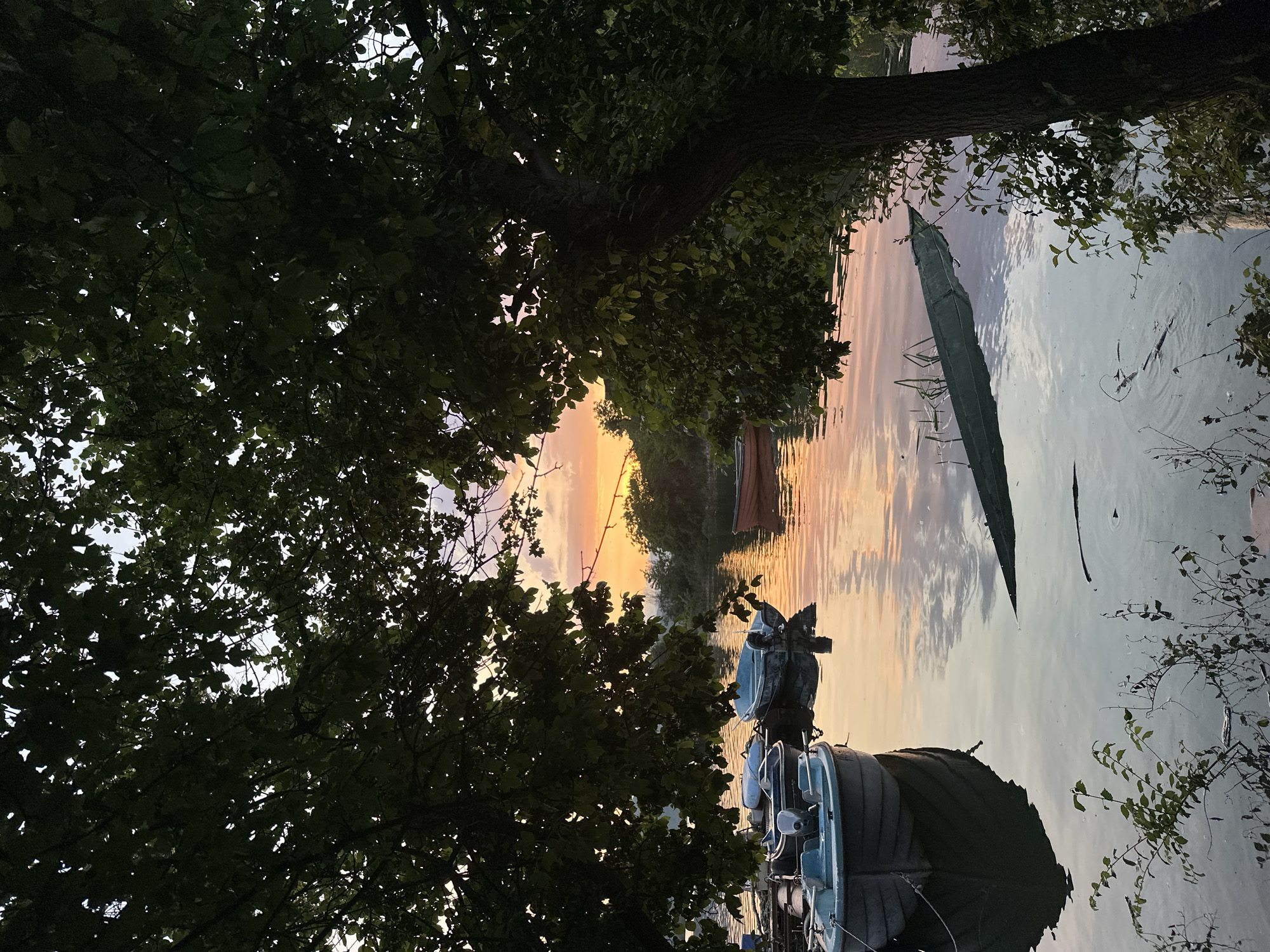 This serene photograph captures a tranquil waterside scene at either sunrise or sunset in Glavatartsi, Bulgaria. The vibrant, warm hues of orange, pink, and yellow in the sky are beautifully reflected on the calm water, creating a mirror-like effect.
The scene is framed by dense, dark green trees, whose canopies dominate the foreground and upper sections of the image, silhouetted against the colorful sky. A prominent tree trunk stretches horizontally across the upper middle, its branches extending over the water. The sky, visible through gaps in the foliage and extensively reflected on the water's surface, transitions from vivid warm tones to softer blues and greys.
Several boats are present on the still water. In the lower right, a large, dark boat, possibly a houseboat or covered vessel, is partially visible, featuring a lighter blue section towards its stern. Adjacent to it, a smaller, light-colored motorboat or rowboat is moored, with visible equipment on its rear. Further in the distance, a long, narrow boat, potentially a canoe or small fishing boat, appears partially submerged or capsized, draped with what looks like a tarp. Patches of reeds and branches emerge from the water near the boats and along the distant banks.
The overall atmosphere is peaceful and undisturbed, with no human activity explicitly depicted. The natural backlighting from the low sun casts strong silhouettes, enhancing the dramatic beauty of the twilight hour. The calm water perfectly reflects the sky's vivid palette. No discernible text is visible within the image.