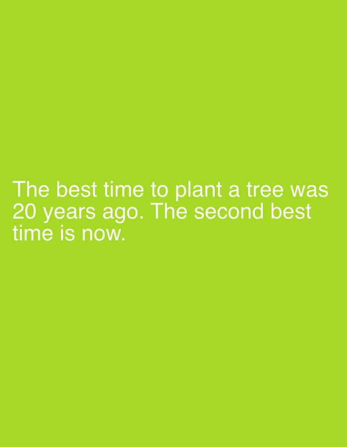 The image is a plain, lime-green background with white text. The text reads: "The best time to plant a tree was 20 years ago. The second best time is now." There are no people, objects, or environmental details visible in the image, nor is there any indication of the city of Smyadovo, Bulgaria.