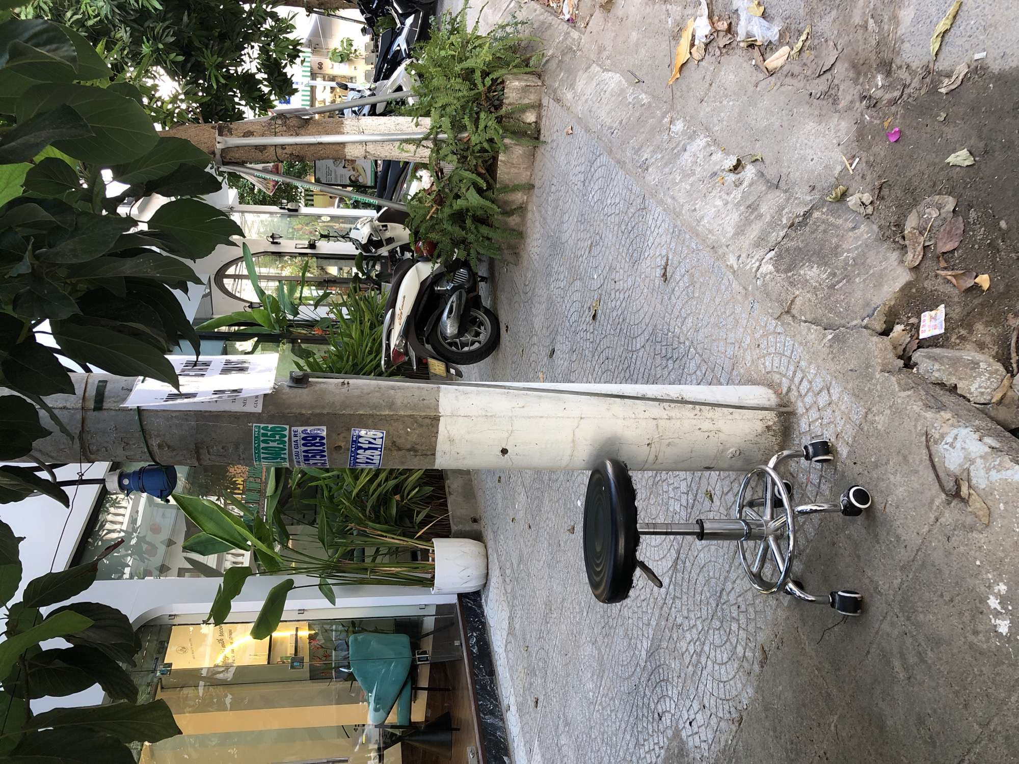 The image shows a sidewalk scene in Da Nang, Vietnam. A black, height-adjustable stool with chrome legs and wheels is positioned on the patterned concrete sidewalk, directly next to a utility pole. The pole is adorned with several stickers, including one with blue lettering and numbers and another smaller white sticker. A blue electrical socket is attached to the pole near the top. Beyond the stool and pole, several potted plants, including tall, leafy green ones and ferns, are visible. In the background, a white and silver scooter is parked. The storefront of a business, with a glass facade, is partially visible to the left of the image, featuring an interior with white walls and decorative lighting. Trees with large green leaves overhang the scene from above. The ground also shows signs of wear and tear, with a concrete curb and debris, including fallen leaves and trash, scattered on the side of the road.