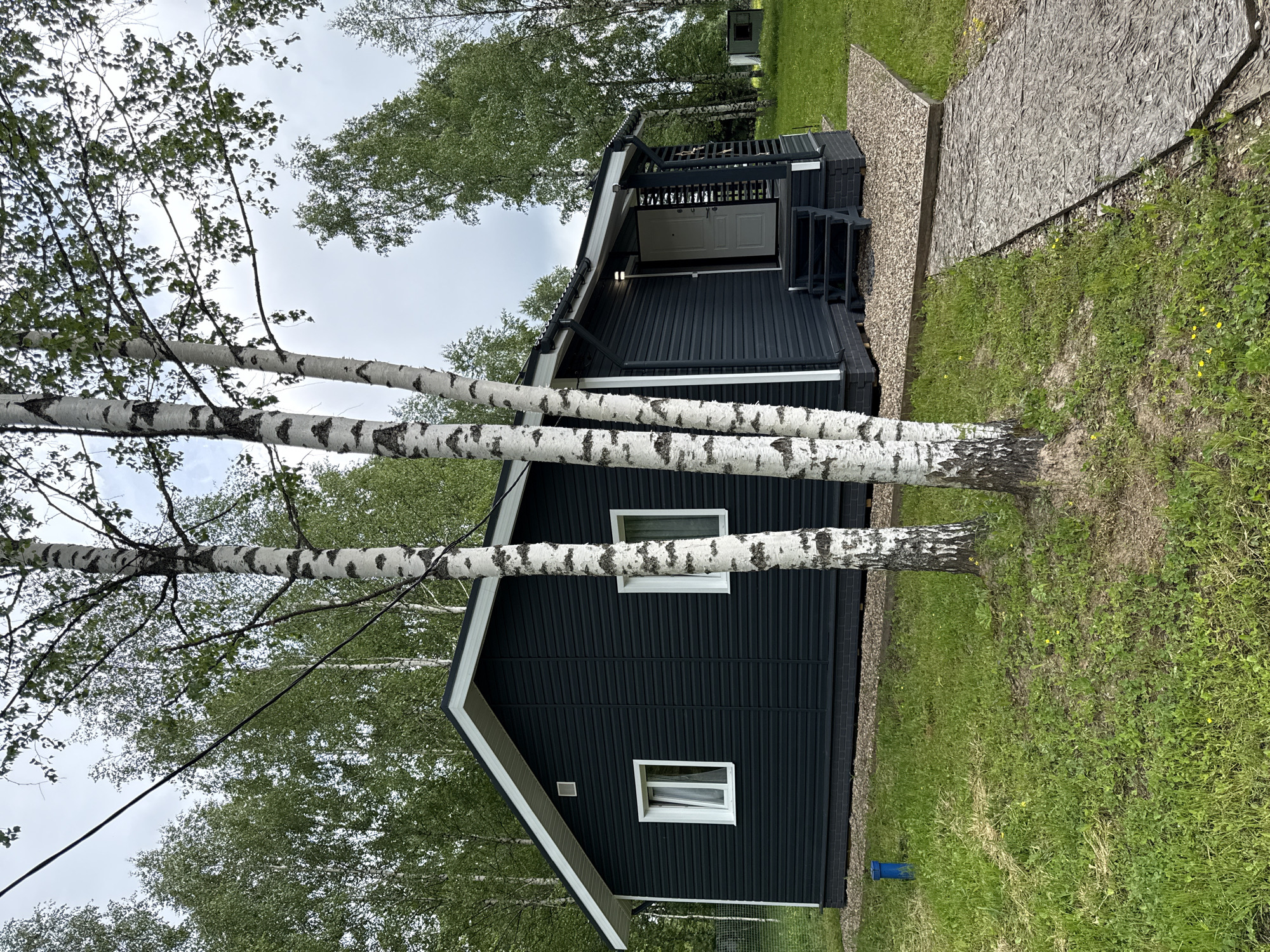 The image shows a dark-colored, single-story house in what appears to be a wooded area, likely in a rural or suburban setting. The house has a white-framed window and is made of dark-colored siding. In the foreground, there are three birch trees, their distinctive white bark with black markings is visible. To the right of the house, there is a walkway leading to the entrance. Green grass covers the ground, and other trees are visible in the background, suggesting a forested environment. The house is located in Buzhaninovo, Russia.