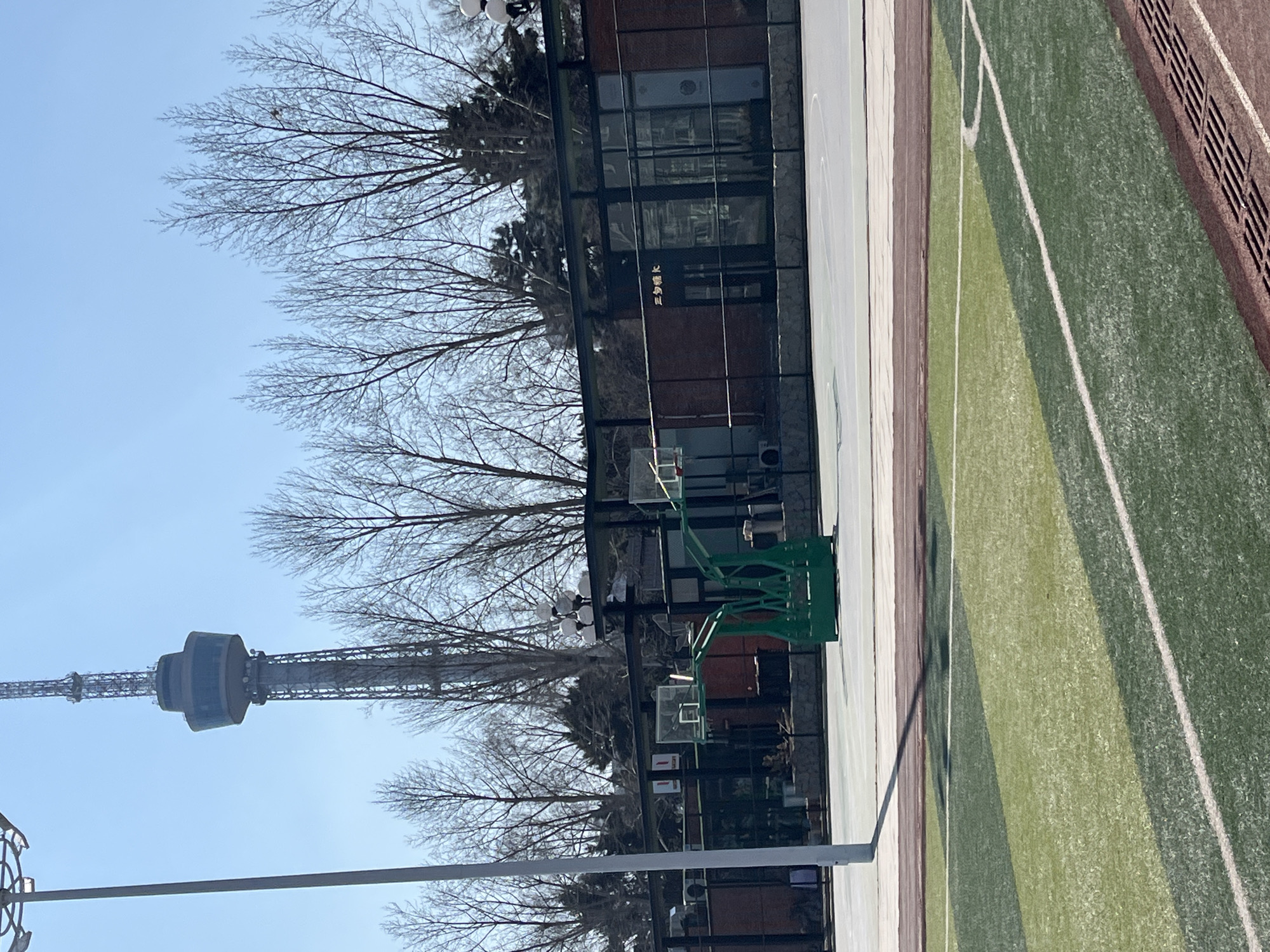 A clear sky over Changchun City, China, reveals a basketball court adjacent to a multi-story building with reflective glass windows. A television tower stands prominent in the background. The court has green painted areas bordered by white lines. Bare trees are positioned between the court and the building. A green basketball hoop is affixed to the court.