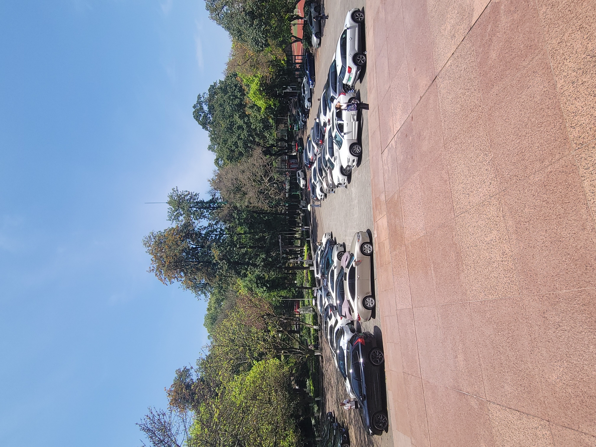 The image shows a row of parked cars along a sidewalk. Beyond the cars, there are trees and a clear blue sky. The cars are primarily white or light-colored. The sidewalk is composed of red or brownish tiles. The location is indicated as Shapingba District, China.