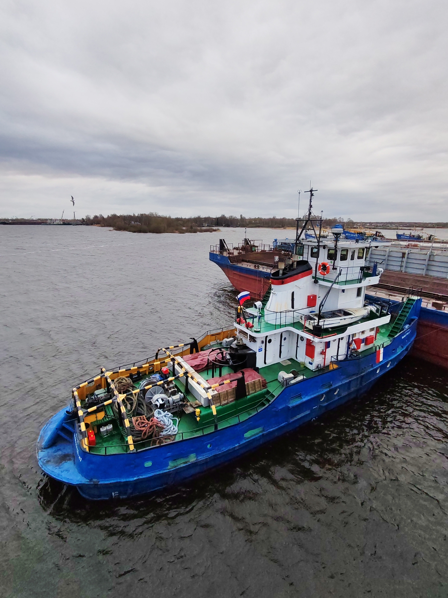 An overhead shot captures a working river scene in Bol'shie Mkhi, Russia, under an overcast sky. The primary subject is a vibrant blue and white tugboat, moored or docked in the foreground, displaying a Russian flag on its stern. The tugboat's deck is green and cluttered with various ropes, winches, yellow safety railings, and equipment. White text "AТБ" is visible on its cabin, and "БЕЛОМОРСКИЙ" (Belomorsky) is painted on its blue hull near the stern, with partially visible numbers like "7117" below it. On its bow, faint white numbers "23-0117" are present.
Behind the tugboat, several larger cargo vessels or barges are visible, one prominently featuring red and blue paint with the number "7571" on its bow. The dark, rippling water of the river surrounds the vessels.
In the mid-ground, a distant landmass with sparse trees lines the riverbank. Further in the background, industrial structures, possibly cranes or port facilities, are faintly visible, indicating a working waterfront. A solitary bird (likely a seagull) soars in the cloudy, pale grey sky above the distant land. The overall atmosphere is functional and muted, typical of a busy but quiet port area on a cloudy day. There are no people clearly visible, and no specific active event is taking place; the boats appear to be stationary.