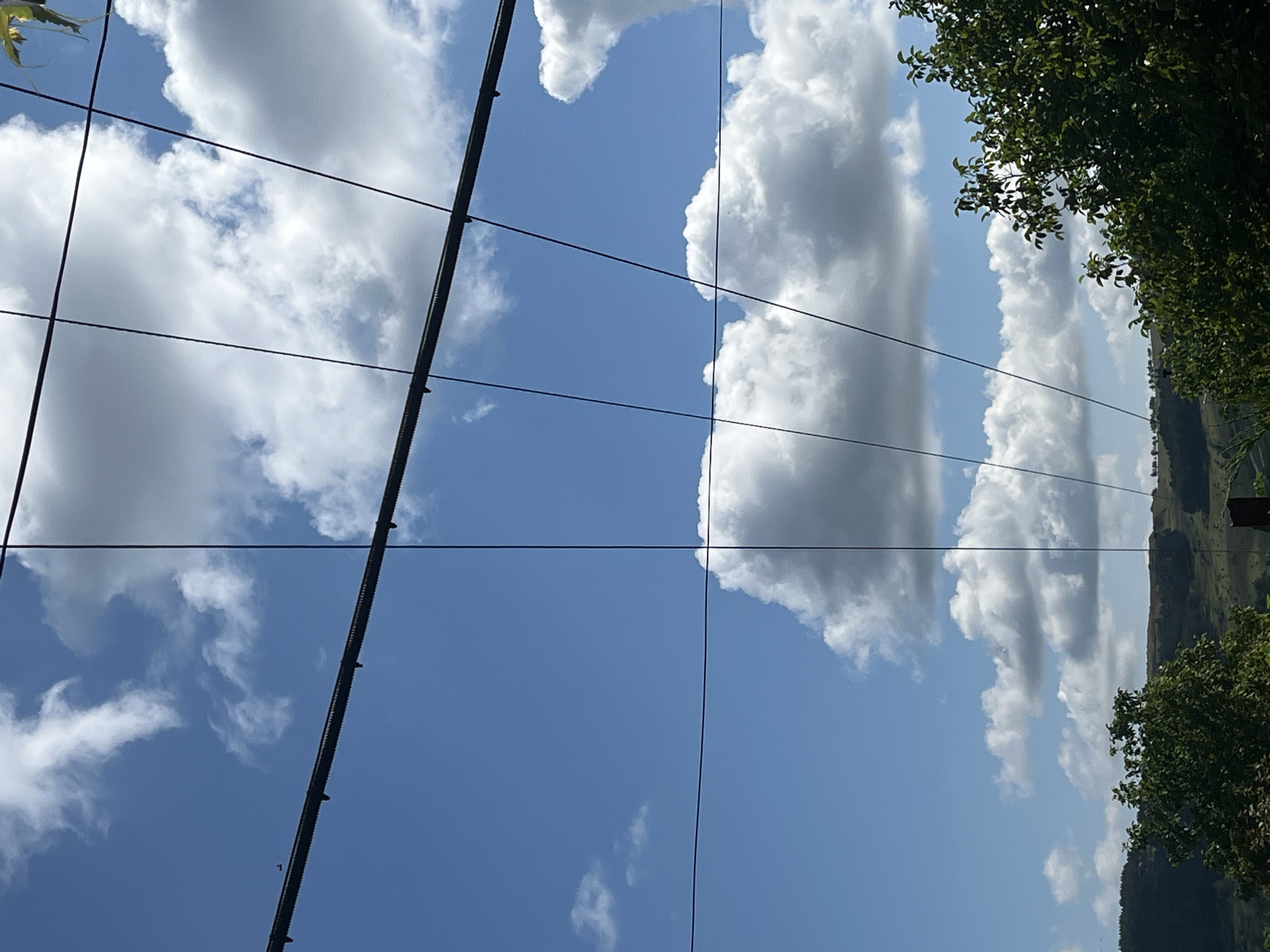 The image is a medium shot of a bright blue sky filled with fluffy white clouds. Several black wires stretch across the frame, intersecting each other and forming a grid-like pattern against the sky. The wires appear to be part of a power line or a suspension system. In the lower portion of the image, the tops of lush green trees are visible, with rolling hills and more trees in the distance. The lighting suggests it is daytime, likely a sunny day with some cloud cover. The scene is an outdoor landscape, with no people or specific identifiable structures from a city visible.