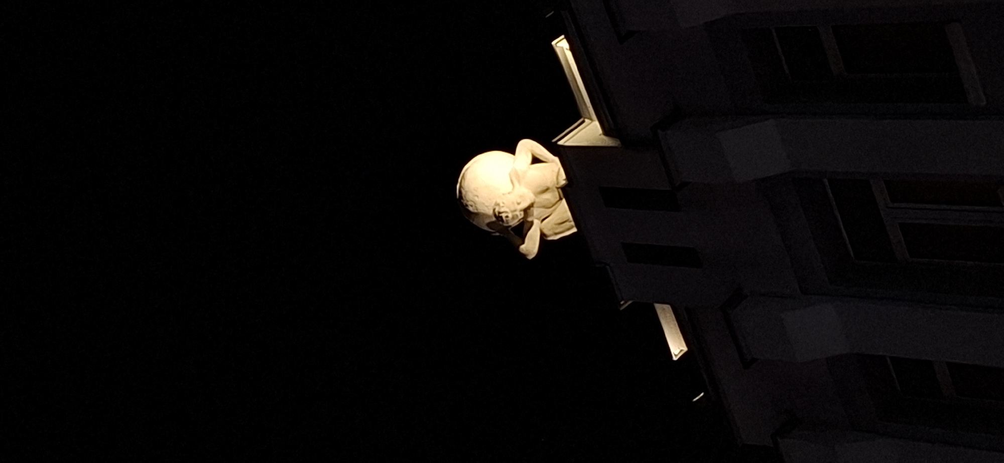 This is a low-light, vertical photograph of a sculpture atop a building at night in Plovdiv, Bulgaria. The sculpture depicts a figure, likely a person, hunched over and supporting a large, round object, possibly a globe or a sphere, on its head and shoulders. The sculpture is illuminated from below, creating strong shadows and highlighting the texture of the material, which appears to be stone or a similar substance. The building itself is dark, with only the upper portion and decorative architectural elements visible. The dark sky provides a stark contrast to the illuminated sculpture and building. The overall impression is one of a nighttime scene with a prominent, dimly lit statue on a building's rooftop.