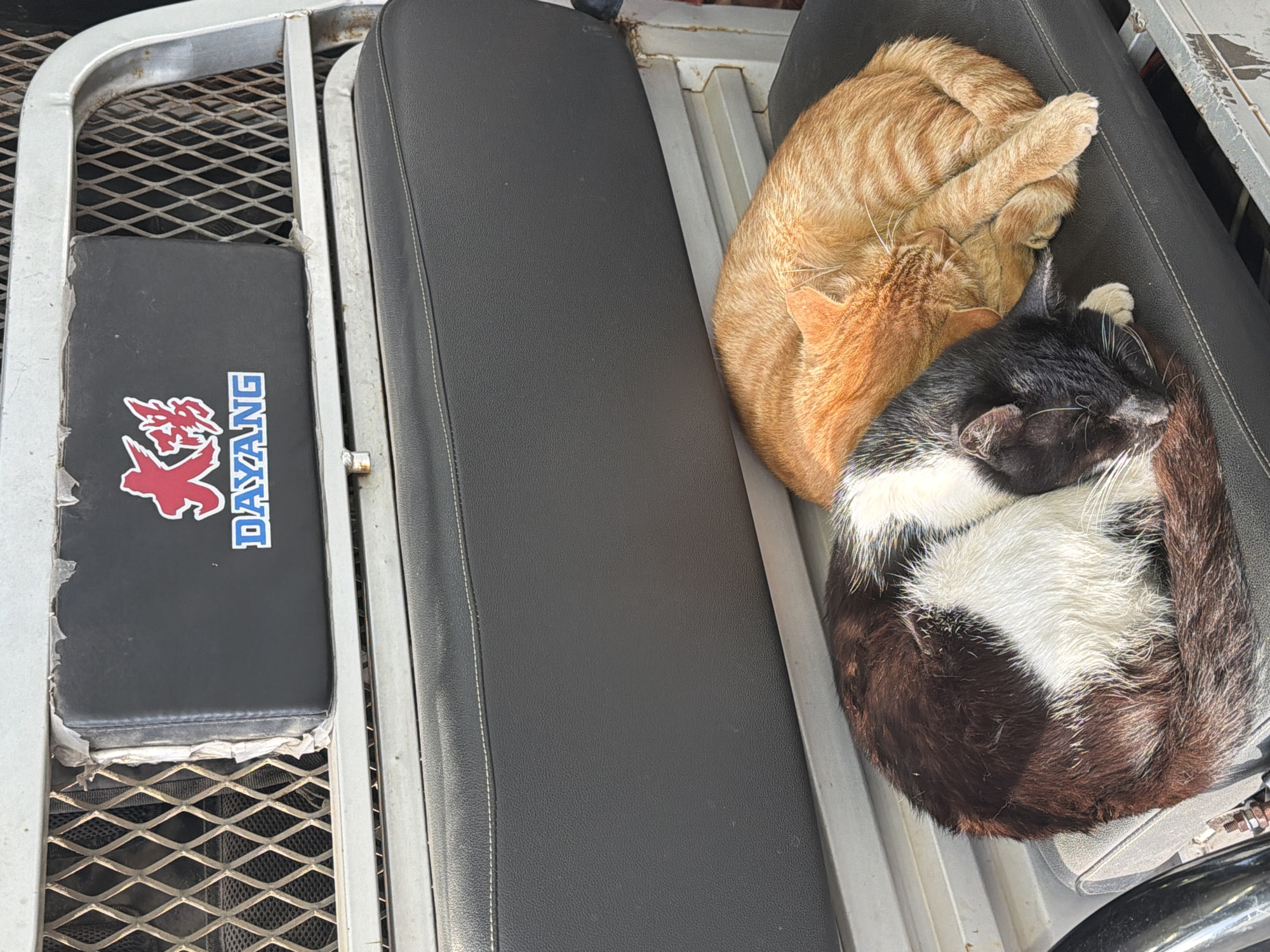 This image captures two cats sleeping peacefully on a black vinyl bench seat, likely part of a utilitarian vehicle such as a sidecar or a light transport. The cat at the top is an orange tabby, curled tightly into a ball with its paws tucked in. Below it, nestled closely, is a black and white cat, also curled up and appearing to be in deep slumber. Both felines convey a sense of comfort and relaxation.
The seat the cats occupy is a dark gray or black vinyl, exhibiting some white stitching on its right side. To the left of this main seat, a narrower, black padded surface is visible. This smaller cushion shows signs of wear, with its vinyl edges peeling. A logo is prominently displayed on it, featuring a stylized red character that resembles a dragon or mythical creature, followed by the word "DAYZANG" in blue uppercase letters.
The seats are framed by a silver-colored metal structure, and beneath the smaller seat, an expanded metal mesh pattern is visible, forming part of the vehicle's floor or platform. The lighting in the image suggests it is daytime, providing clear visibility of the scene. The overall impression is one of tranquility and domesticity amidst a functional setting.