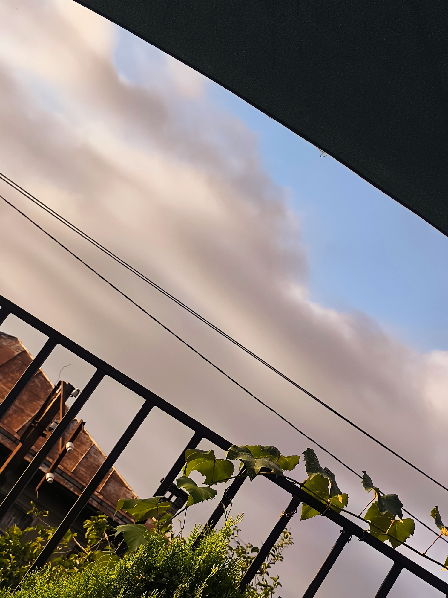 A low-angle, diagonal shot frames a view of the sky, partially obscured by a dark, angled overhang at the top. Two thin, parallel black wires stretch diagonally across the frame from the upper left to the lower right. Below these wires, a black metal railing runs diagonally from the lower left to the upper right. To the left of the railing, a multi-tiered structure with wooden slats and exposed light fixtures is visible, appearing to be part of a building. In the lower portion of the frame, lush green foliage, including a conifer and grapevines with leaves, grows behind and partially over the railing. The sky is a mix of soft, pale pinkish-purple clouds and patches of light blue, suggesting either sunrise or sunset. The overall impression is of an urban scene in Batumi, Georgia, focusing on the interplay of man-made structures and the natural sky.