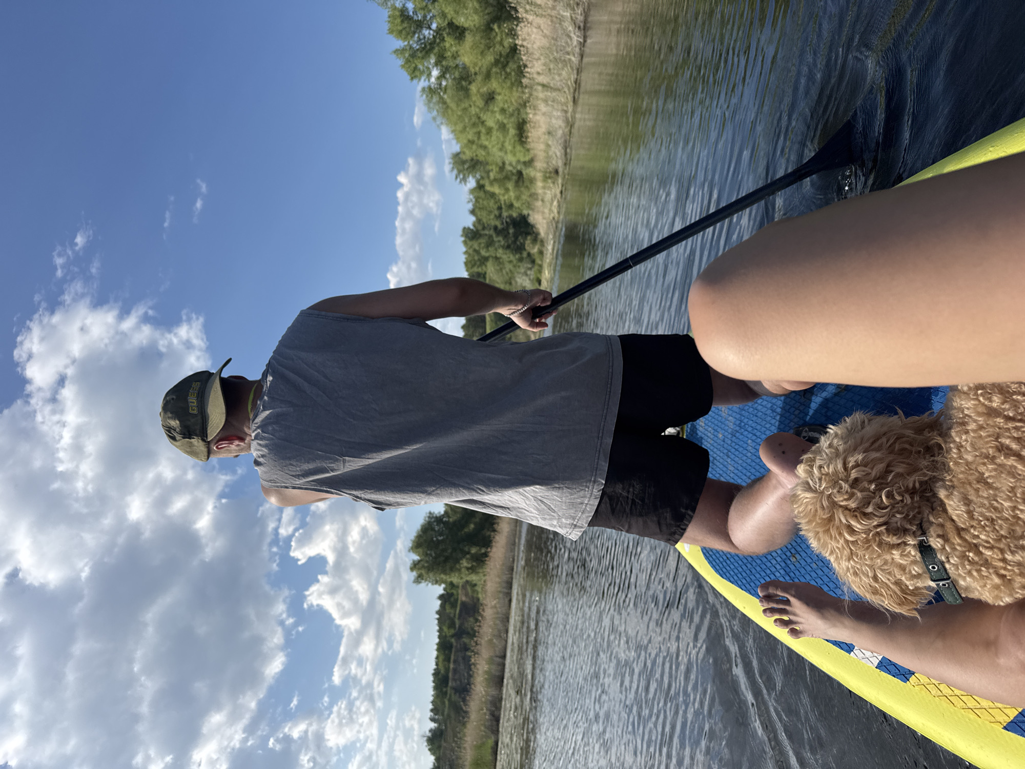 A person in a grey sleeveless shirt and black shorts is paddleboarding on a calm body of water. They are kneeling on the paddleboard, holding a black paddle with the blade submerged in the water. A small, fluffy, light brown dog is sitting on the paddleboard in front of the person's legs. The person is wearing a green baseball cap. In the foreground, another person's legs are visible. The background features lush green trees and reeds lining the shore under a bright blue sky with scattered white clouds. The scene appears to be set in a natural, outdoor environment, possibly a river or lake, consistent with the location of Pribrezhnyi, Russia.