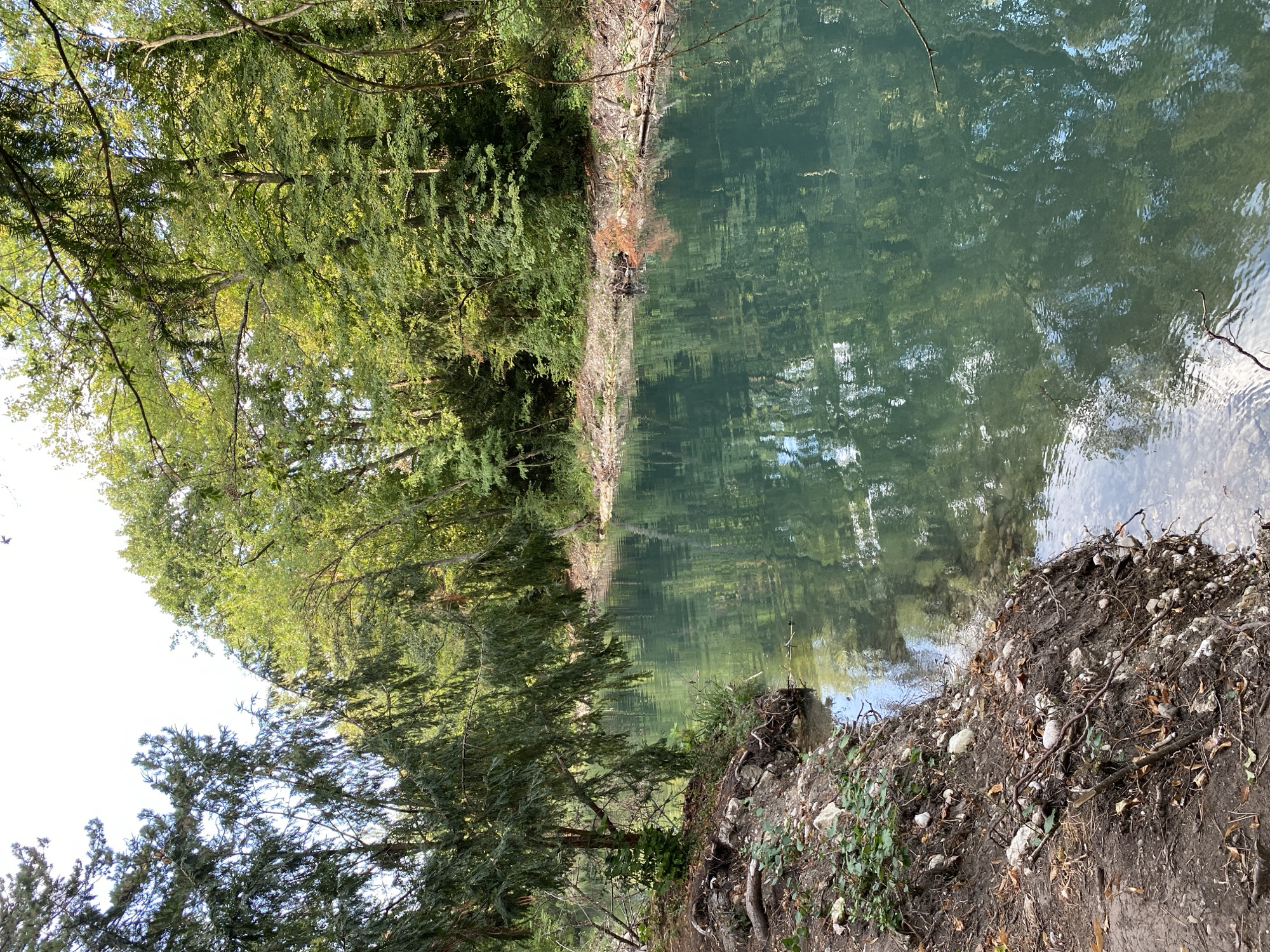 The image shows a tranquil riverbank scene in Cortaillod, Switzerland, bordered by lush green trees. The river's surface is a clear, inviting turquoise, reflecting the vibrant foliage of the surrounding forest. The bank is a mix of soil, rocks, and exposed tree roots, with sparse vegetation and fallen leaves scattered across the ground. The overall impression is one of natural beauty and peaceful seclusion. There are no people visible in the image.