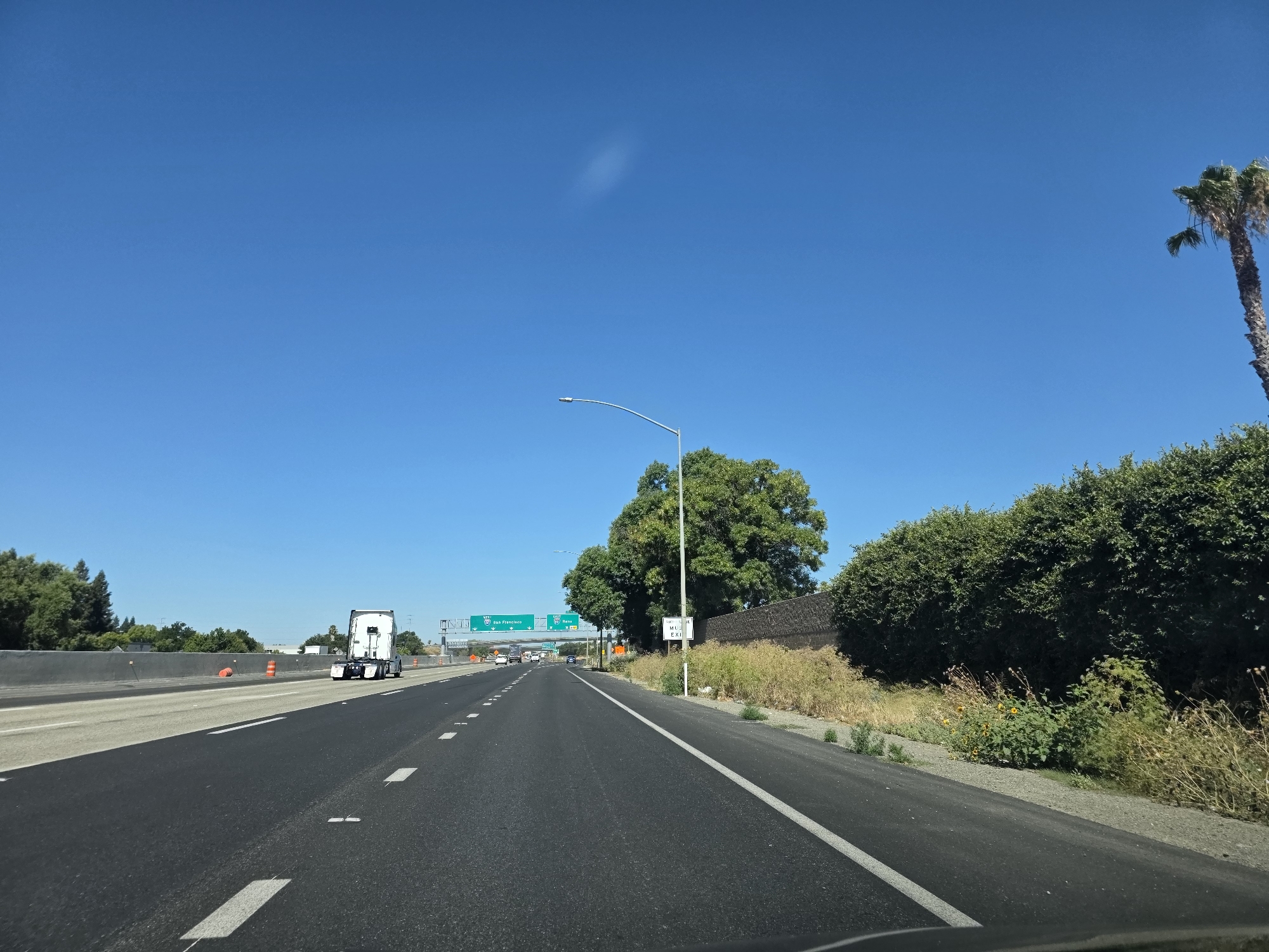 The image shows a view from a vehicle traveling on a highway under a clear blue sky, indicating a sunny day. The road ahead is paved and marked with white lane lines. On the left side of the road, a concrete barrier separates the highway from an area with trees and some orange traffic cones. Further down the highway, a white semi-truck is visible in the right lane.
On the right side of the highway, there is a thick hedge of green bushes and some dry, overgrown vegetation along a low wall. A tall palm tree stands out against the sky. In the distance, highway signs with green backgrounds provide directions. One sign indicates "99 North Sacramento" and another shows "453 / 160 / San Francisco". A smaller sign on a pole on the right side of the road reads "MA 223 EXIT". The overall scene suggests a typical highway journey in a warm climate during the daytime. No people are directly visible in the image.