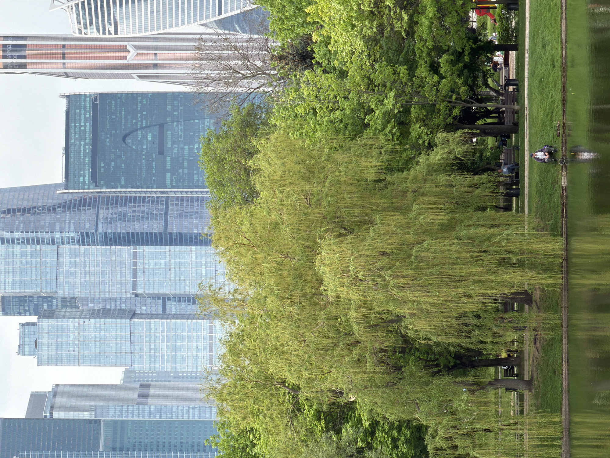 This image depicts a scene in Moscow, Russia, featuring a reflection in a body of water. Modern skyscrapers dominate the background. Closer to the viewer are trees with lush green foliage, and a grassy area with a sidewalk. People are seated on benches, and one person is lying on the grass near the water's edge. The image appears to be oriented sideways.