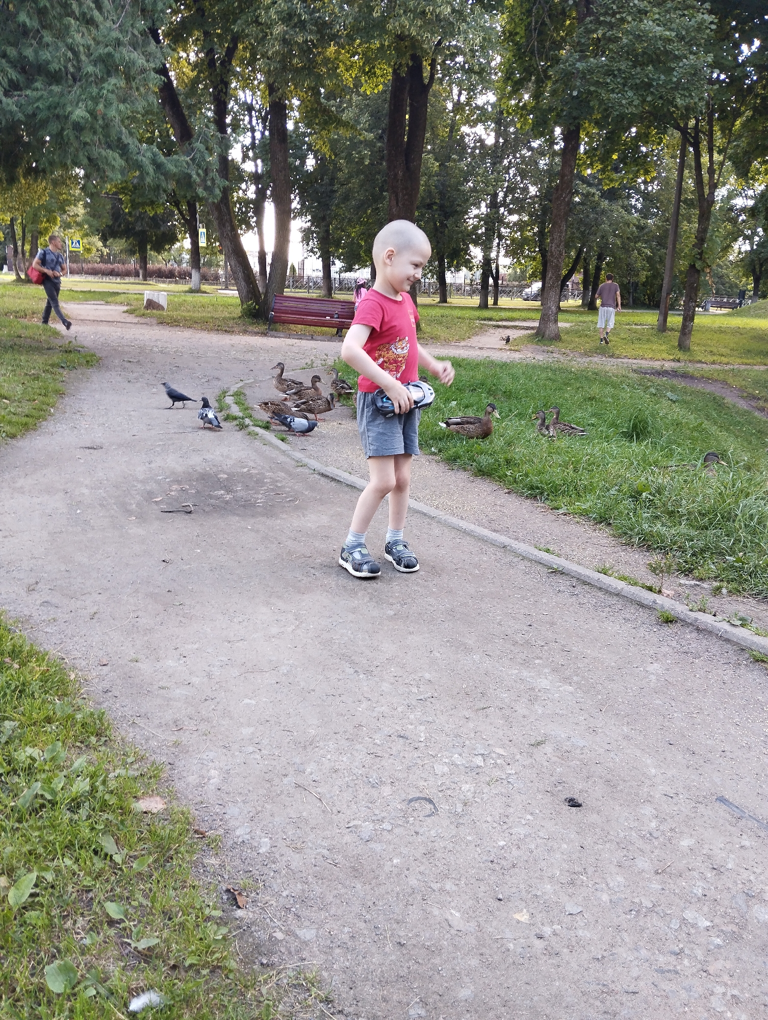 In Kingisepp, Russia, on a paved park pathway, a young boy with a shaved head and wearing a red t-shirt and grey shorts stands, holding a toy in his right hand. His gaze is directed downwards, and a slight smile is visible. To his left, several ducks are gathered on the grassy area adjacent to the pathway, and two pigeons are on the path, one of which is mid-flight. In the background, a man in a grey shirt and shorts walks away from the camera, and further in the distance, another man in a blue shirt and black pants walks towards the camera, carrying a red bag. The park setting is characterized by numerous trees with green foliage, dappled sunlight, and a wooden bench visible behind the boy.