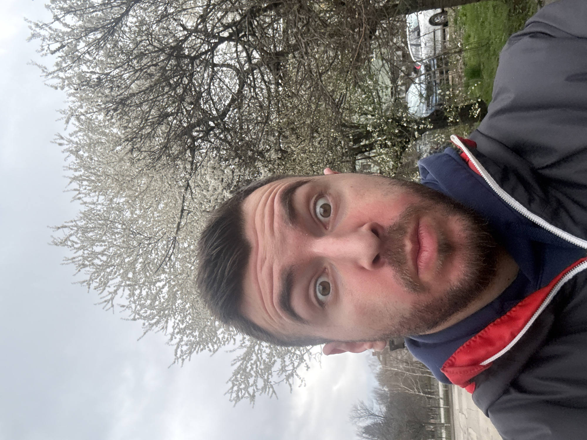 A selfie photograph shows a man with brown hair and a beard looking directly at the camera with a slightly surprised expression. He is wearing a dark jacket with a red and blue hooded sweatshirt underneath. Behind him, slightly out of focus, is a tree with white blossoms, suggesting spring. In the background, there is a glimpse of a parked silver car. The lighting indicates an overcast day. Based on the type of trees, the time of year, and the car, it is likely taken in a park near Sofia, Bulgaria.