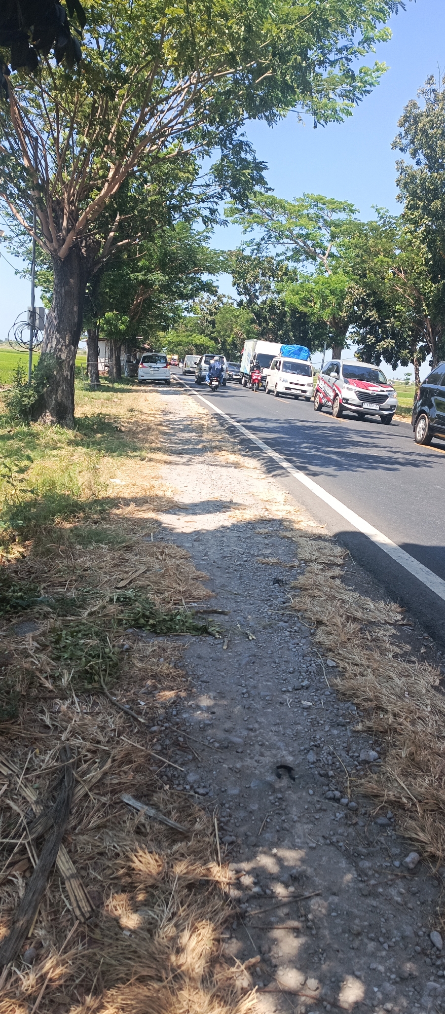 The image captures a sunny daytime scene on a paved road in Landangan, Indonesia, bordered by a grassy and dry vegetation verge. The road is moderately trafficked with a mix of vehicles including cars, vans, a truck, and motorcycles. On the left side of the road, a row of trees with dense green foliage creates a natural boundary. Behind the trees, a bright green rice field is visible. The road itself has a white painted line marking the lane. A motorcycle with two occupants, a driver and a passenger, is in motion within the traffic. Another motorcycle, with a single rider, is also visible. A silver van is parked on the side of the road. The foreground shows the dry, overgrown verge with scattered leaves and twigs, suggesting a rural or semi-rural setting. The sky is clear blue.