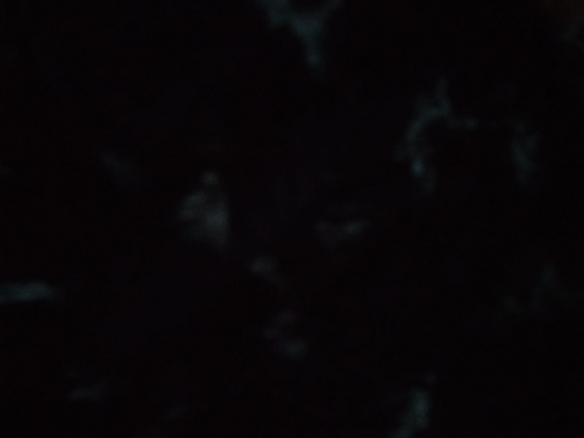 The image is a dark, out-of-focus photograph of what appears to be a nebulous, abstract pattern against a black background. There are no discernible objects, people, or actions. The scene is indistinct, with vague light-colored smudges scattered across the frame, suggesting a low-light environment or a photographic artifact rather than a specific urban location.