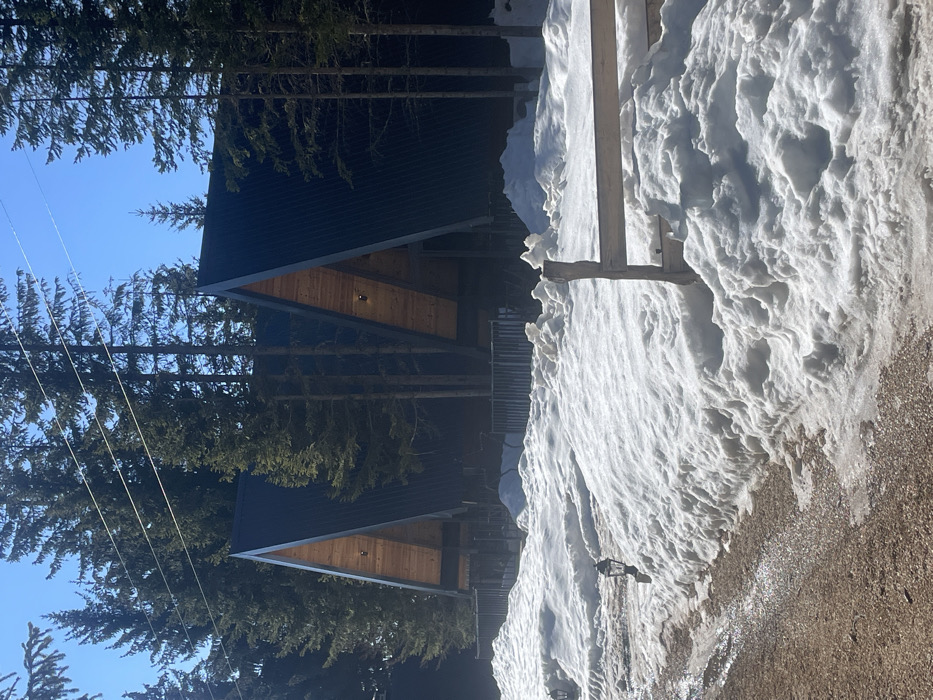 The image depicts a winter scene in Palež, Montenegro, under clear blue skies and bright sunlight. In the mid-ground, two A-frame style cabins with steeply pitched dark metal roofs and light wooden front facades are visible, positioned within a dense coniferous forest of tall, dark green trees. Each cabin's front facade features a single exterior light fixture. A dark fence or railing runs horizontally in front of the cabins, partially obscured by deep snow. The foreground features a light brown gravel or dirt path, wet in areas from melting snow, which recedes into the distance on the left. High, irregular piles of snow line both sides of the path, reaching several feet in height. At least two outdoor lantern-style light fixtures are visible emerging from the snow along the left edge of the path. On the right side of the mid-ground, a rustic wooden fence segment, consisting of a vertical post and two horizontal rails, is partially buried in the snow. No individuals are present in the scene, and no overt actions or interactions are depicted.
