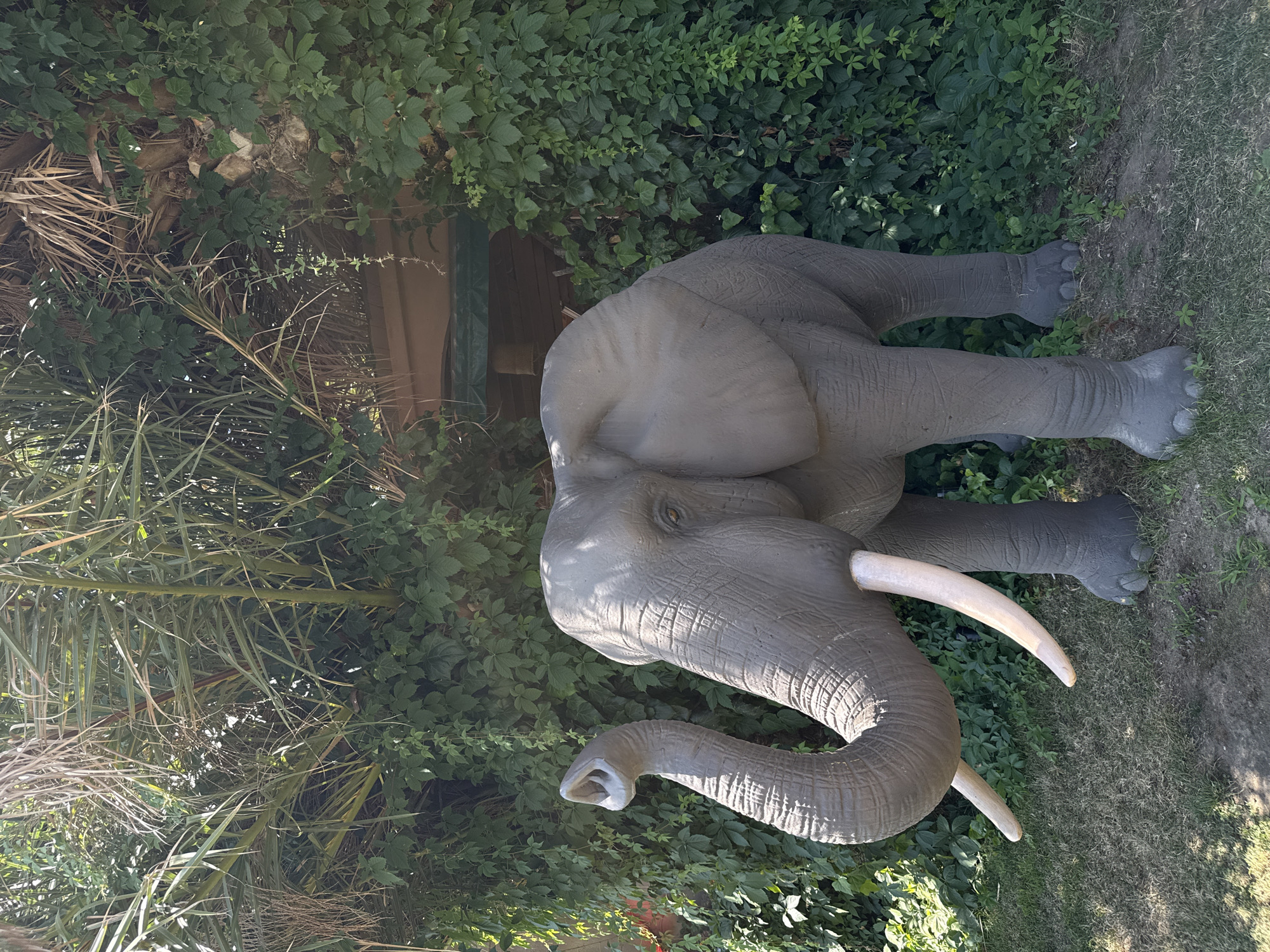 The image depicts a life-sized concrete statue of an elephant standing on a grassy area in front of a lush green ivy-covered wall. The elephant statue is gray, with prominent tusks and a trunk raised upwards. Behind the elephant, the ivy covers a wall, and some palm fronds and dry leaves are visible above the ivy. A section of a wooden structure with a green awning is partially visible through the dense foliage. The lighting suggests it is daytime with sunlight filtering through the vegetation. This scene is located in Asprovalta, Greece.