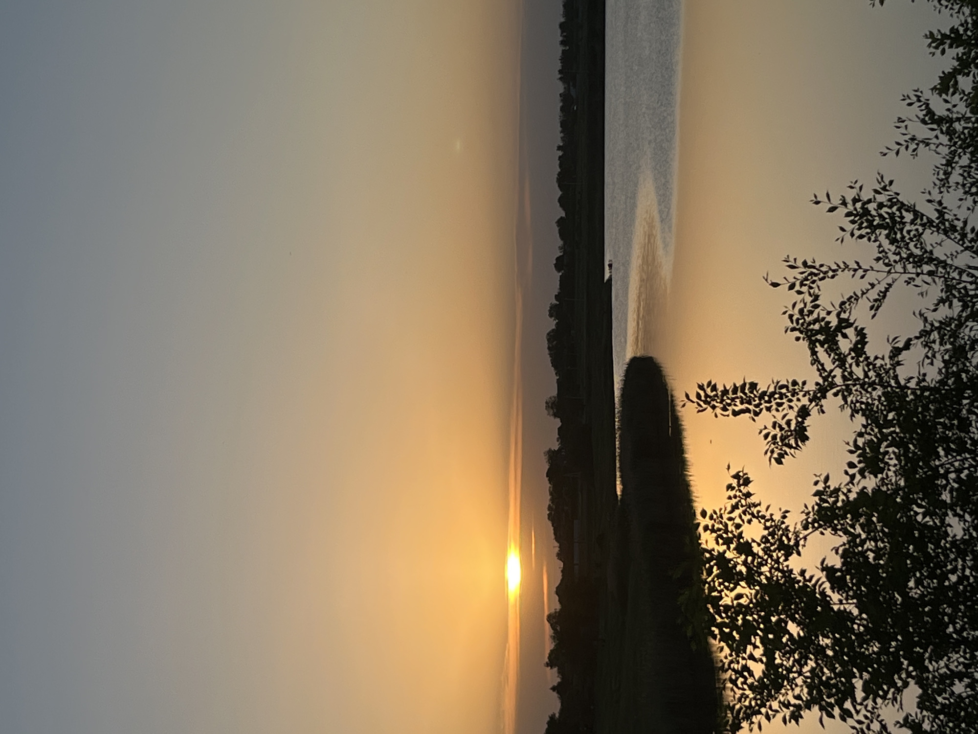 The image depicts a sunset scene, possibly in Shyroka Dacha, Ukraine, with a body of water reflecting the light. A line of trees or vegetation separates the water from the land, and a tree branch with leaves is visible in the foreground. The sky transitions from a darker shade to a golden hue near the horizon.