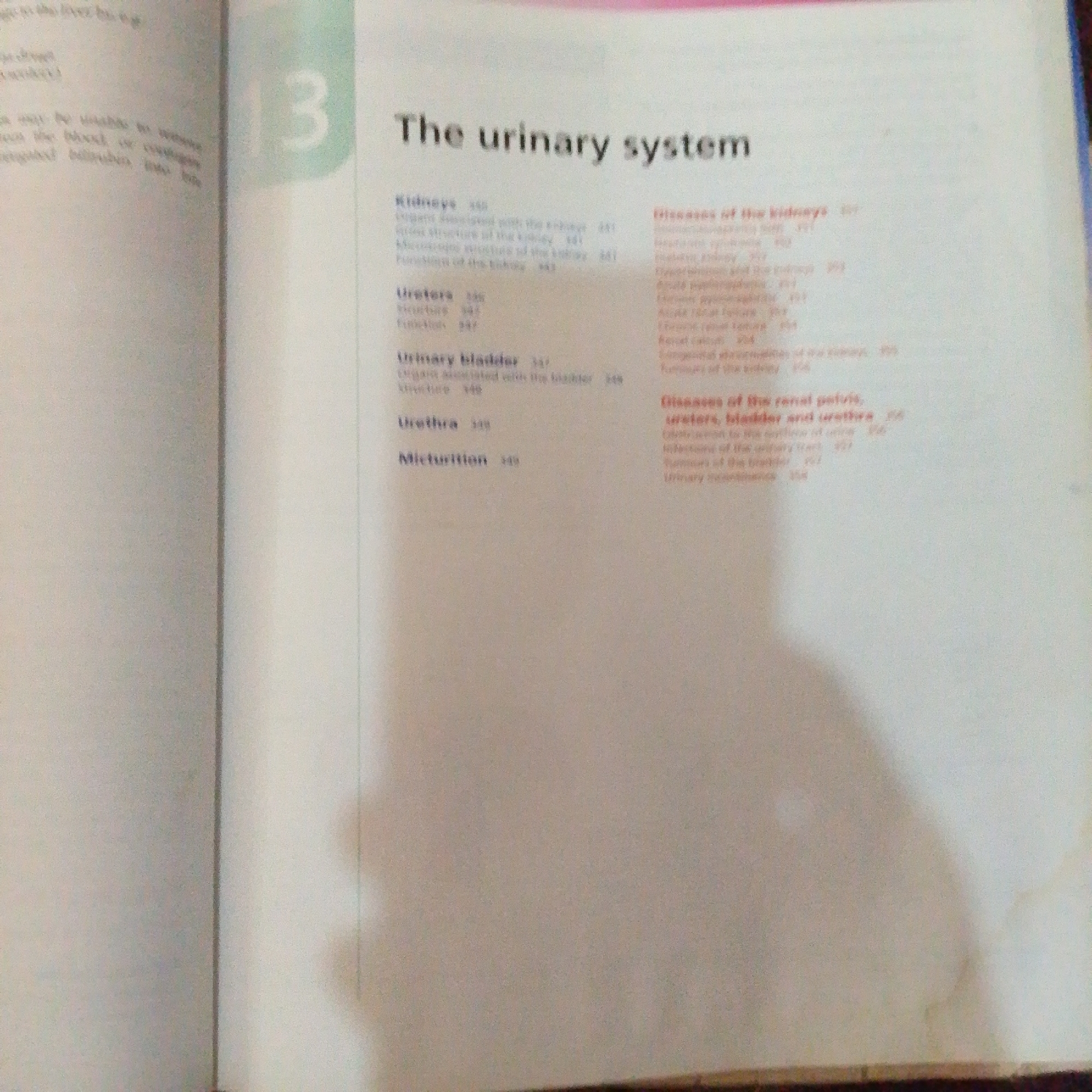 The image shows a page from a book. The title of the chapter is "The urinary system". There is a chapter number "13" in a large font on the left side of the page. Below the title are headings and subheadings related to the urinary system, such as "Kidneys", "Ureters", "Urinary bladder", and "Urethra". There are also entries that appear to be page numbers next to these headings. On the right side of the page, there are headings and subheadings related to "Diseases of the kidneys" and "Diseases of the renal pelvis, ureters, bladder and urethra". The image does not contain any information about Jalingo, Nigeria.