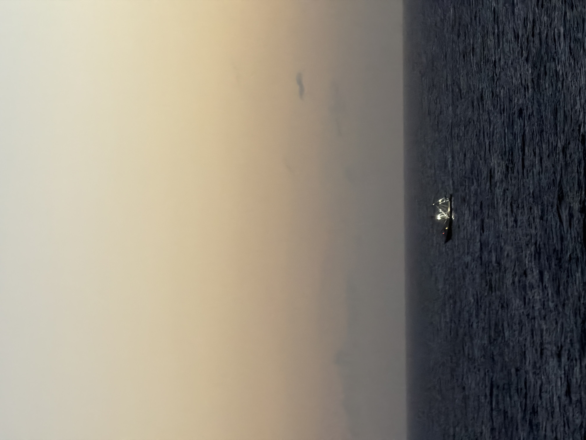 A horizontally-oriented photograph depicts an expanse of water under a soft, overcast sky, with a single illuminated vessel situated in the water. The right side of the image is dominated by the textured surface of what appears to be the ocean, rendered in dark, muted tones with vertical striations suggestive of wave patterns or long exposure. Light reflecting off the vessel is visible. The left side of the image is a pale, uniform gradient, possibly indicating a hazy or overcast sky conditions. The location and city are not discernible from the image.