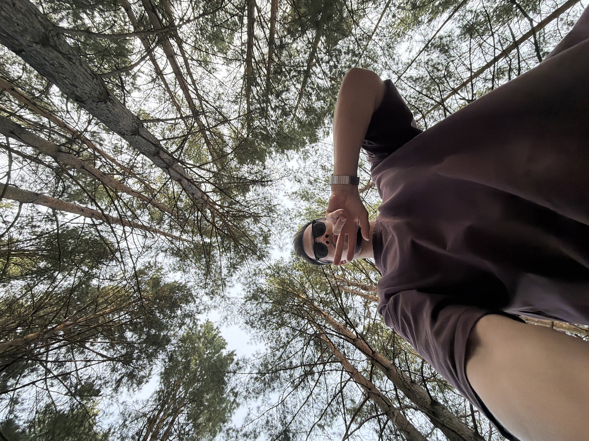 The image presents a low-angle view looking up into a dense forest canopy, featuring a person in the foreground. The individual, likely male, is positioned in the lower right, angled slightly upwards towards the camera. They wear dark sunglasses and a loose-fitting, dark purple or maroon t-shirt. A short beard or stubble is visible. Their right arm is raised, with the hand partially obscuring the lower part of the face, making a "peace sign" or "V" gesture with two fingers extended. A metallic watch with a link bracelet is visible on their left wrist.
The background is dominated by numerous tall pine trees, their slender trunks and branches extending upwards, forming a thick network of green needles against a bright, overcast sky. The low camera angle emphasizes the towering height of the trees, creating an immersive forest environment.
The activity captured is a selfie, with the person posing casually amidst the trees. The bright sky indicates it is daytime, though the lack of direct sunlight suggests an overcast day. The overall mood conveyed by the pose and setting is relaxed and natural. The location context indicates this scene is in Krasnoyarsk, Russia. There is no visible text in the image.