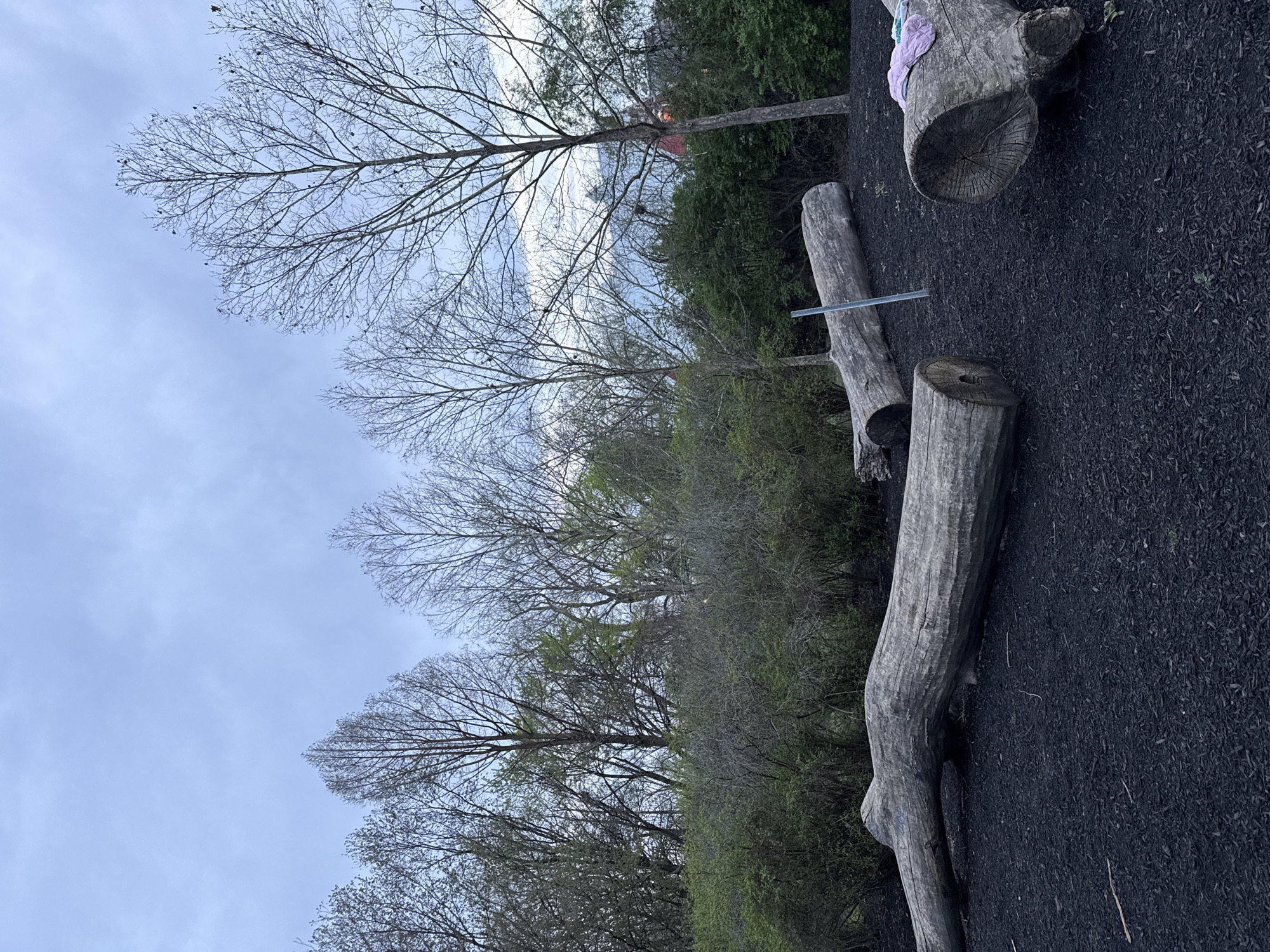 The image shows a park area in Grove City, United States of America. The ground is covered in dark mulch, likely rubber mulch based on its appearance and texture. Several tree trunks are repurposed as park features. One larger, hollowed trunk has a light purple object on top of it. Two smaller trunk segments are placed near a metal bar. Trees with bare branches are visible against a cloudy sky. Some trees exhibit nascent spring foliage. Green shrubbery provides a backdrop.