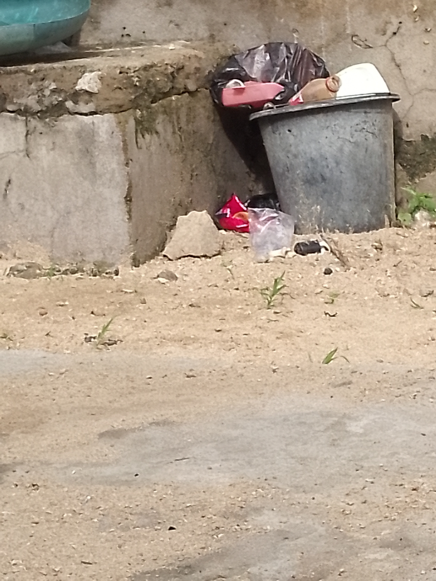 A trash can is situated next to a concrete wall. The trash can is dark gray and appears to be made of plastic. It is filled with a black plastic trash bag, along with a red plastic object, a brown plastic bottle, and a white object that may be a lid. In front of the trash can, there is a pile of scattered trash, including a red plastic bag and a clear plastic bag. The ground in front of the wall is covered in sand and small stones, with a few blades of grass growing sparsely. A large teal-colored basin is visible in the upper left corner of the image, resting on a concrete ledge.