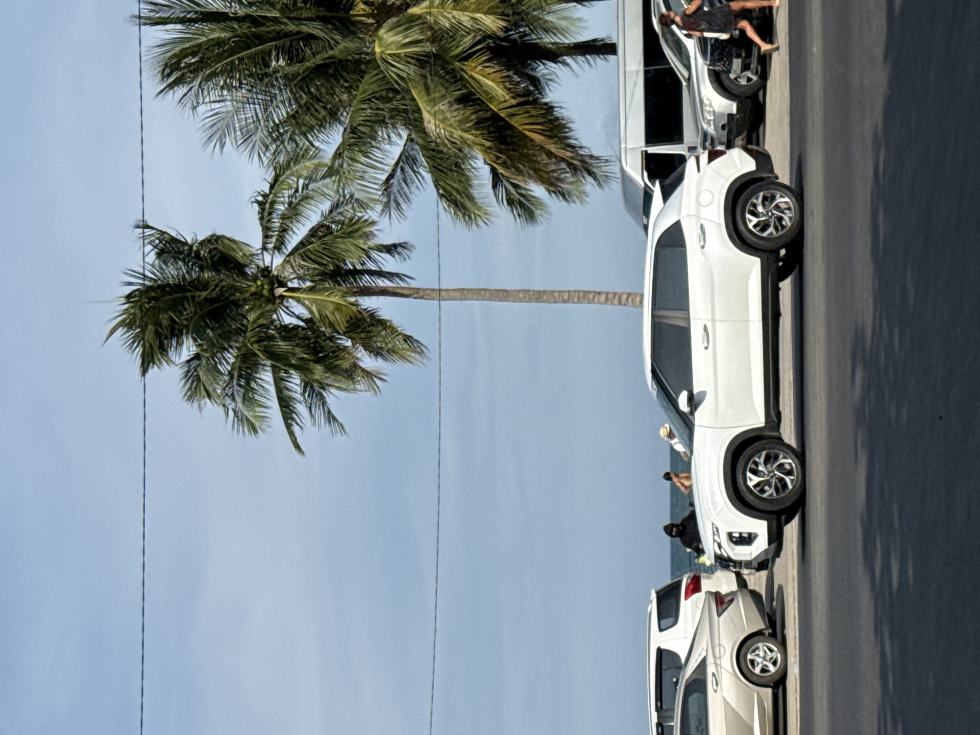 In Bac Nha Trang Ward, Vietnam, the image captures a sunny day with a clear blue sky and a few scattered clouds. A power line stretches horizontally across the upper portion of the frame. Two tall palm trees with lush green fronds dominate the middle ground, their trunks visible against the sky. Below the trees, several cars are parked and in motion along a paved road. In the foreground, a white SUV is parked on the right, and a beige sedan is parked on the left. Behind these vehicles, a white van and other cars are visible. In the distance, a few people can be seen on a beach near the ocean, which is visible beyond the road. The scene suggests a typical day in a coastal city.