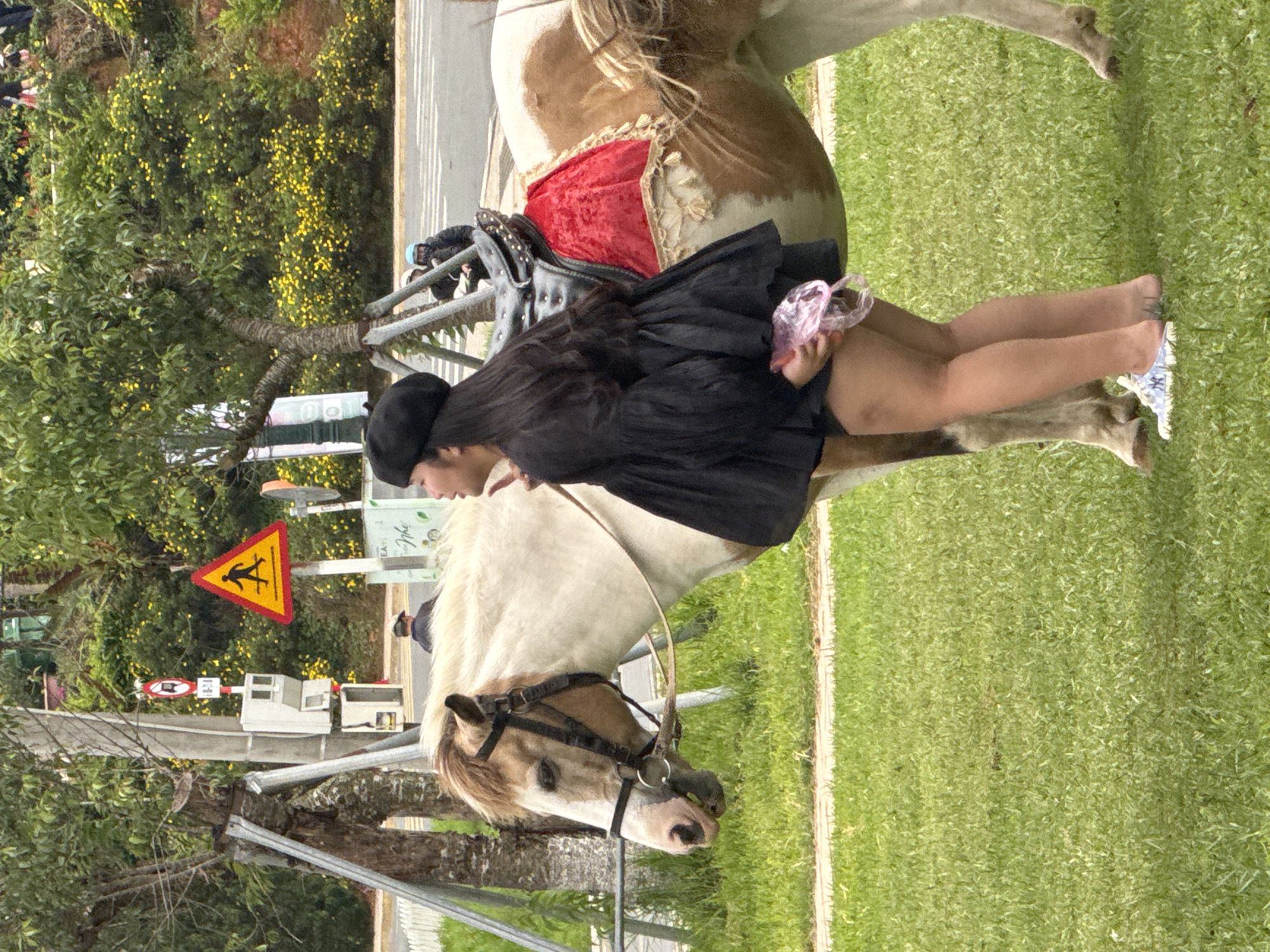 A young woman is seated on a light-colored horse with brown markings, positioned on a vibrant green grassy area. She wears a black beret and a black short dress or top, and light-colored patterned sneakers. In her hand, she holds a small, crinkled pink object. The horse is equipped with a red and gold saddle blanket and a dark bridle.
The scene unfolds outdoors during daylight hours, suggesting clear and possibly sunny weather. In the background, there's abundant foliage, including large trees and bushes covered in small yellow flowers. A paved road or pathway is visible behind the greenery. Notable roadside elements include a yellow triangular sign with a black border and a black silhouette of a person walking, indicating a pedestrian crossing or caution for pedestrians. Below this, a white barrier system with red and white markings, possibly a railway crossing or restricted access point, is visible. Another sign on a pole features a red circle with a horizontal white bar, potentially a "no entry" or "stop" command, with some illegible text. Further back, a green structure with "Mphe" possibly visible in white text is present. The general setting appears to be a park or an outdoor recreational area, likely in Da Lat, Vietnam, as provided by the context.