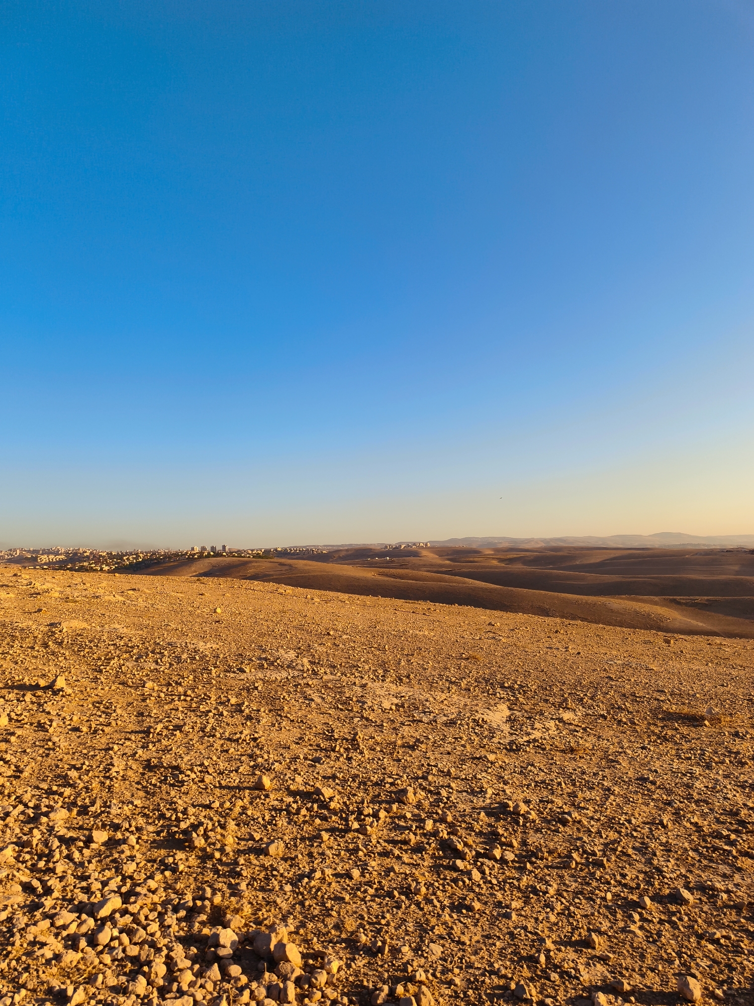 The image depicts a wide, arid landscape under a clear blue sky. The foreground is dominated by a rough, rocky ground surface, illuminated by warm, golden light, suggesting either sunrise or sunset. In the middle ground, gently rolling hills of a similar arid terrain extend towards the horizon. Distantly, a settlement or city is visible, characterized by buildings and structures spread across the landscape, appearing somewhat hazy against the muted tones of the hills. The sky is a gradient of bright blue at the top, transitioning to a lighter, warmer hue closer to the horizon, indicating the presence of the sun. The overall scene is one of a dry, sparsely vegetated environment with a human settlement in the distance. The location is identified as the city of Keidar, Palestinian Territories.
