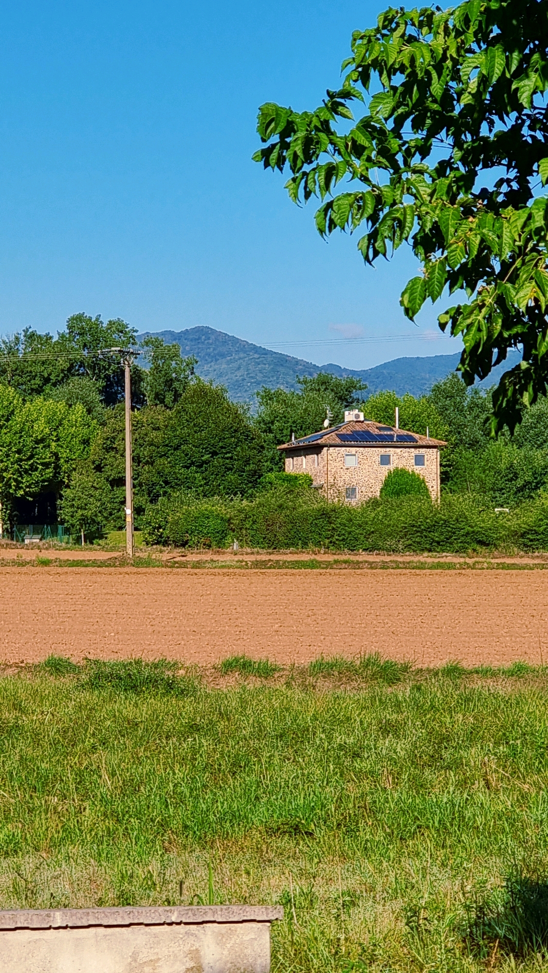 The image depicts a rural landscape under a clear blue sky. In the foreground, a section of tilled brown earth is visible, bordering a strip of green grass. Beyond the field, a stone house is nestled amongst lush green trees and foliage. The house has a tiled roof with solar panels and multiple windows. A wooden utility pole stands to the left of the house. In the background, distant mountains are visible, their peaks softened by haze. A leafy branch hangs into the frame from the top right corner. The scene appears to be in a natural, undeveloped area. The location is Llocalou, Spain.