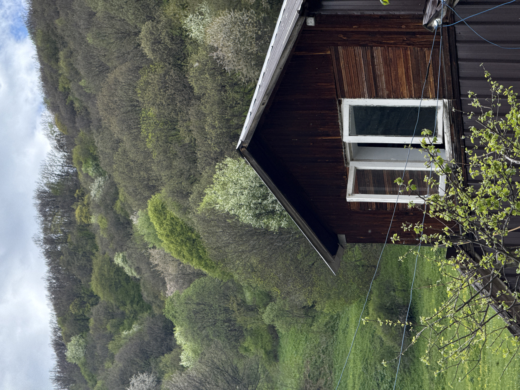 A close-up, outdoor shot depicts a portion of a building situated in a rural setting, presumed to be Karaberd, Armenia. The building has a dark brown wooden exterior, with a white-framed window visible, partially open. A tree with budding green leaves is positioned near the building. Thin, blue utility wires run along the side of the building. In the background, a densely wooded hill occupies a significant portion of the frame, with variations in the green foliage. The sky is overcast with light clouds. A grassy area is also visible. The image appears to be rotated counter-clockwise.