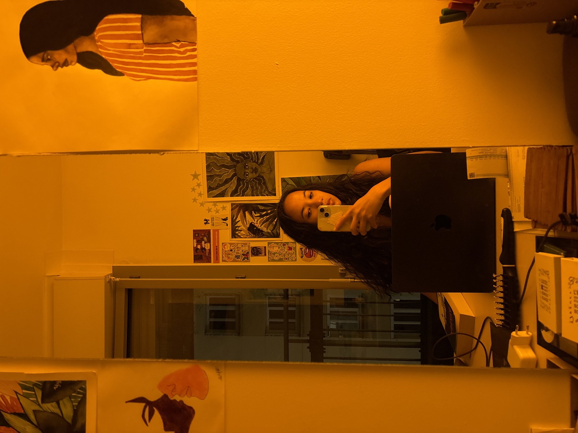 The image shows a young woman holding a cell phone and looking at herself in a mirror. A laptop is in the foreground partially obscuring her. Various artwork and posters adorn the wall behind her in an orange tinted room. The reflection in the mirror shows a window with a view of buildings suggesting a city location, possibly Paris, France given the architectural style.