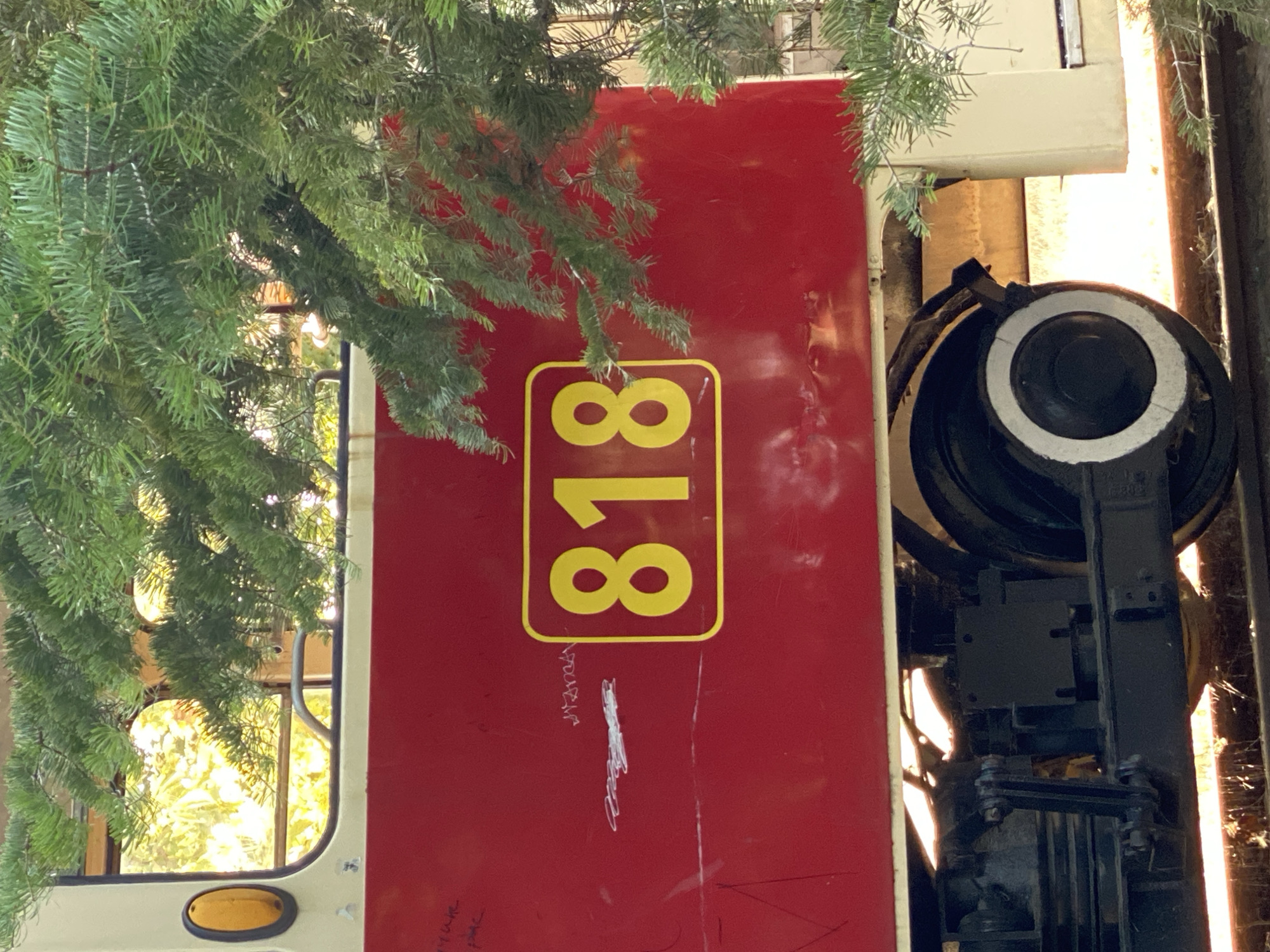 The image shows a close-up of the side of a red and cream-colored tram car with the number "818" prominently displayed in yellow within a yellow border. The number is centered on the red portion of the tram. The tram is partially obscured by a large, lush green fir tree or evergreen branches, suggesting a possible holiday season or a natural setting. Some faint white scribbles and writing are visible on the red surface of the tram, to the left of the number. Below the red section, a portion of the tram's undercarriage and a black wheel with a white rim are visible. The tram appears to be stationary on tracks, with sunlight filtering through the greenery, creating bright highlights and shadows on the tram and its surroundings. The background is blurred but shows hints of yellow light and possibly foliage, indicating an outdoor environment. There are no people visible in the image. The context of Chișinău, Moldova is not evident from the image itself.