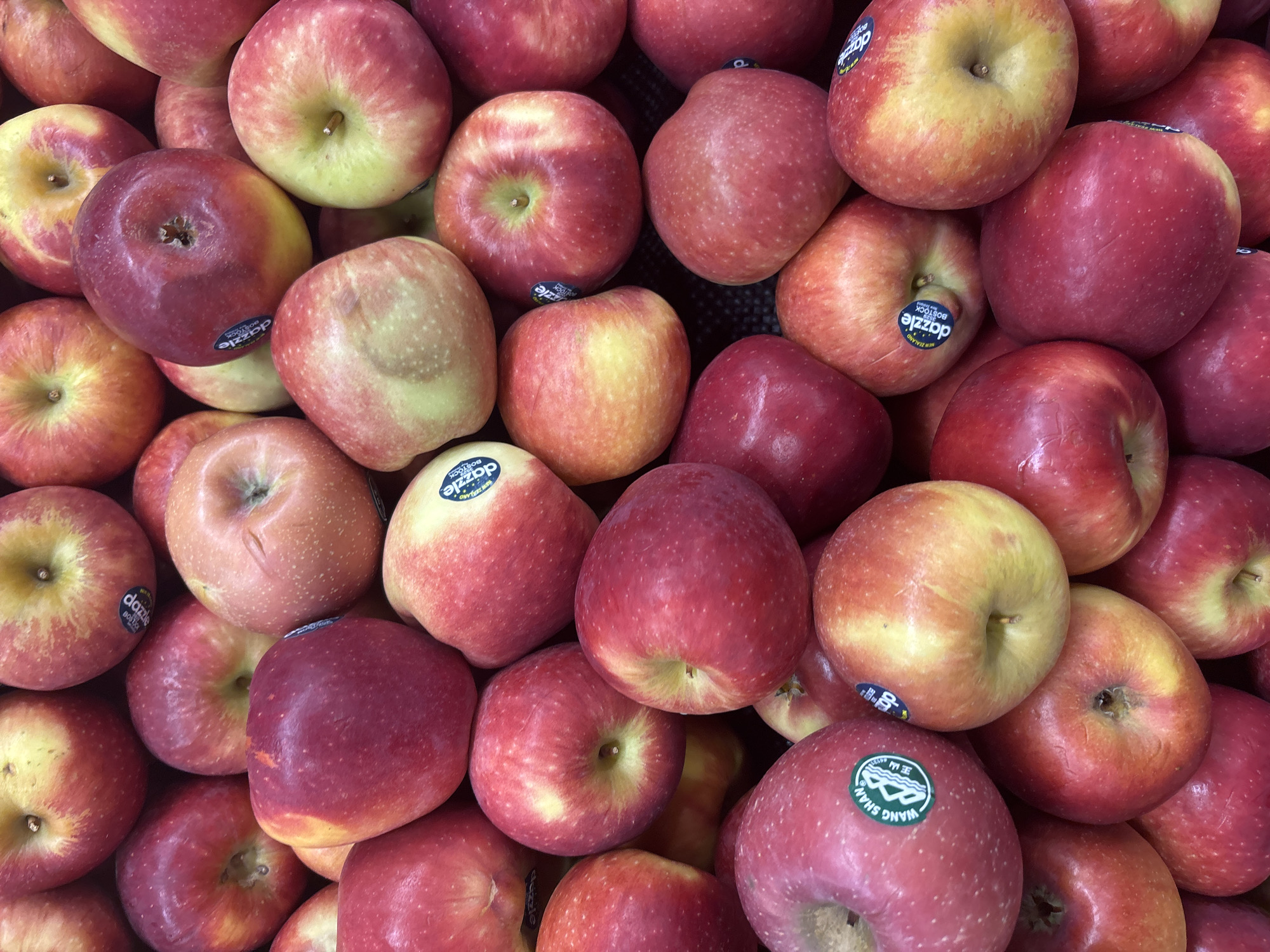 A close-up, top-down view showcases a bountiful pile of Dazzle apples, their vibrant red and yellow hues creating a visually appealing spread. The apples are predominantly round with slight indentations at the stem and blossom ends. Some apples exhibit a blush of pink and yellow, indicating ripeness. Several apples bear round, blue and white stickers with text, including "DAZZLE BIOSTOCK" and "NEW ZEALAND." The overall arrangement suggests they are likely displayed in a market or store setting. The image does not contain any discernible elements that would allow for specific location identification within North Jakarta, Indonesia.