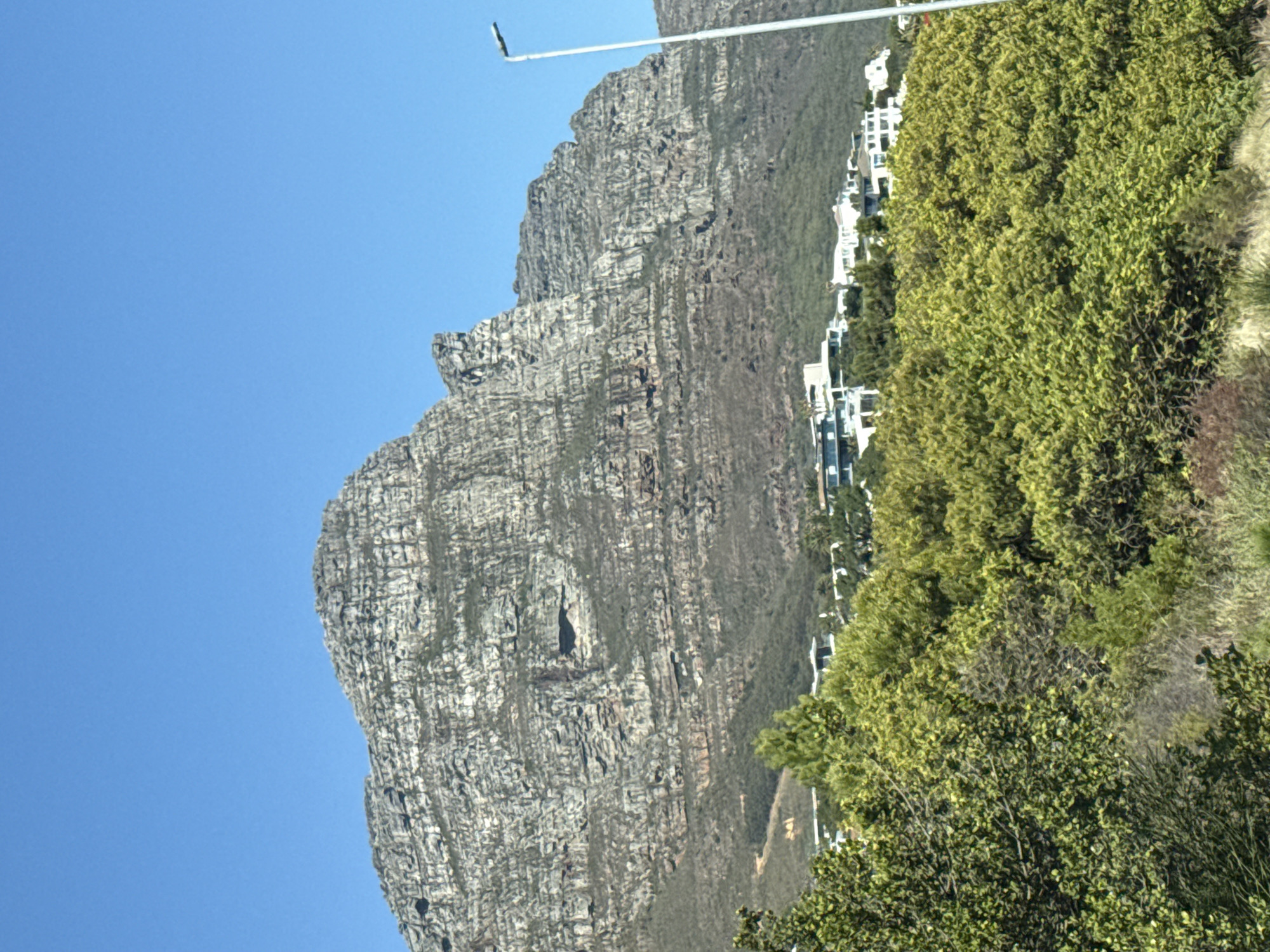 A vibrant outdoor landscape features a majestic, rugged mountain under a clear blue sky. The mountain, likely a part of Cape Town's iconic range, dominates the left and central portions of the frame with its textured, grey and brown rock face, showing distinct stratification and erosion patterns. On the right, a lush expanse of green trees and bushes covers the hillside, indicating dense vegetation. Nestled within and along the lower slopes of this greenery are several modern, white residential buildings or villas, providing a contrast of natural and developed elements. A slender, white utility pole or street light extends vertically upwards from the right side, cutting across the blue sky. The clear, bright blue sky suggests a sunny day, likely mid-morning or afternoon, with no clouds visible. There are no people or specific activities depicted. No visible text is present. The scene captures the picturesque environment of Cape Town, South Africa, showcasing its dramatic mountainous backdrop and coastal architecture.