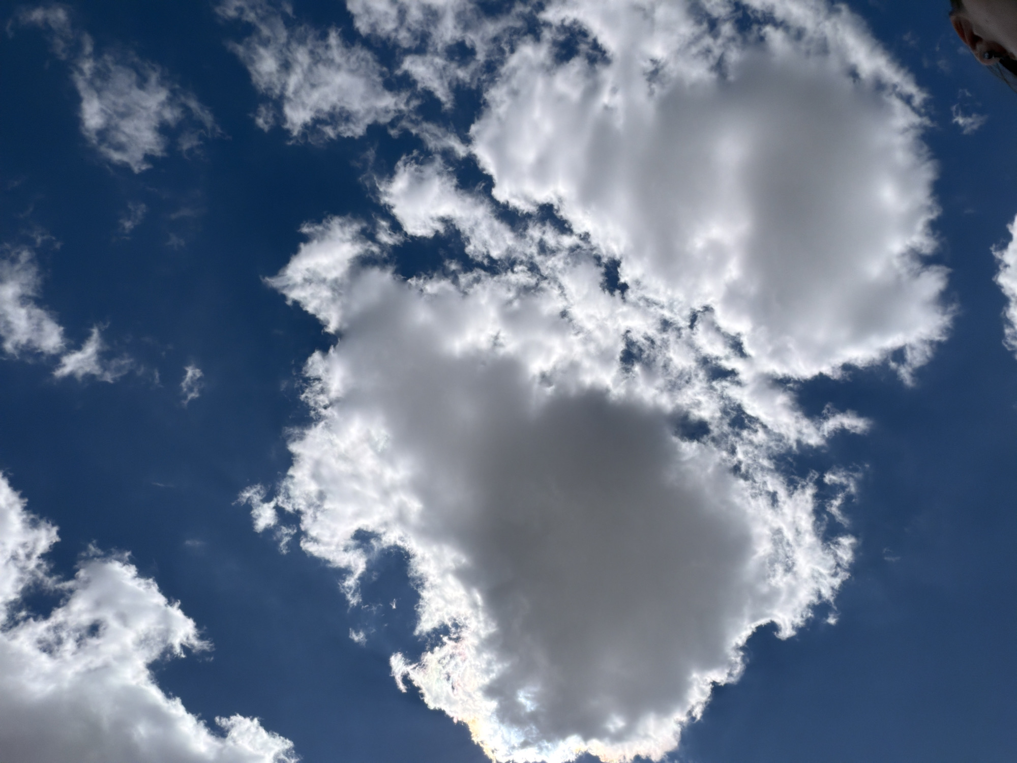 This is a vertical, low-angle shot of a deep blue sky dotted with white, puffy clouds. The clouds are varied in size and density, with some appearing wispy and others solid and voluminous. The sun is not directly visible, but its light illuminates the edges of some of the clouds, creating a bright halo effect. A person's head and shoulder are visible in the bottom right corner of the frame, looking up towards the sky. The person appears to be wearing dark clothing and has an earring visible in their ear. The overall impression is one of a bright, clear day with a dramatic sky. There is no specific indication of the city of Krasnyi Krym, Russia, or any urban elements in this image.