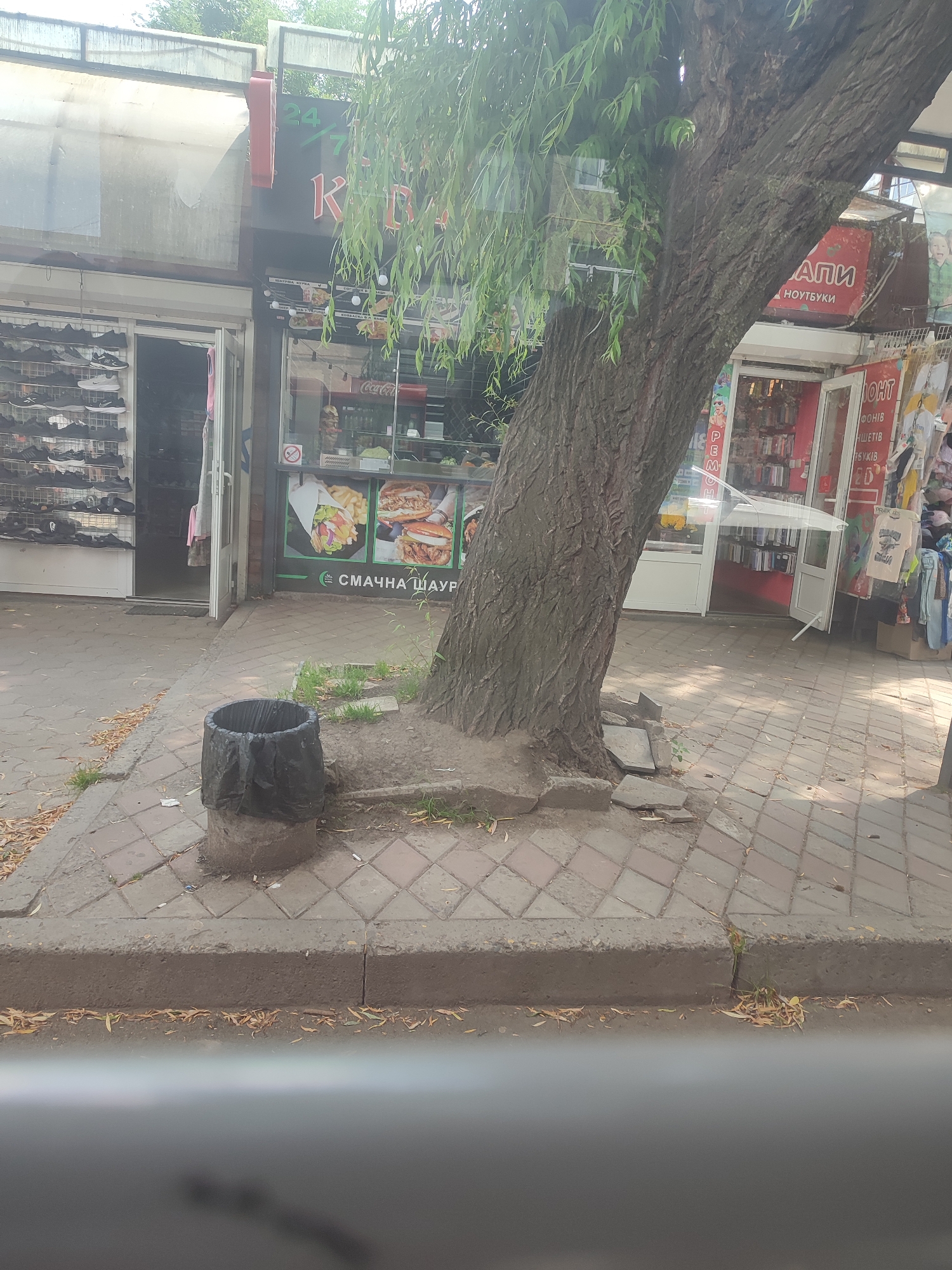 The image depicts a street scene in Chernivtsi, Ukraine. In the foreground, a large, mature tree trunk dominates the right side of the frame, its bark rough and textured. Its branches, adorned with green leaves, extend upwards and to the left, partially obscuring the view of the buildings behind.
To the left of the tree, on the sidewalk, sits a black trash can. The sidewalk is paved with diamond-shaped tiles. Beyond the sidewalk, several storefronts are visible. The leftmost storefront displays rows of black shoes on shelves behind a glass facade, with an open doorway revealing more of the interior. Adjacent to this is another shop featuring images of food, including sandwiches and french fries, and signage that appears to be in Ukrainian. Further to the right, another shop has an open doorway and displays various items inside, including what look like mobile phones. Above the shops, there is a covered walkway or awning.
The overall environment appears to be a commercial street, likely in a built-up area, with a mix of retail establishments. The lighting suggests it is daytime, possibly mid-morning or afternoon, given the shadows. The presence of the tree and the paving stones indicate an urban setting.