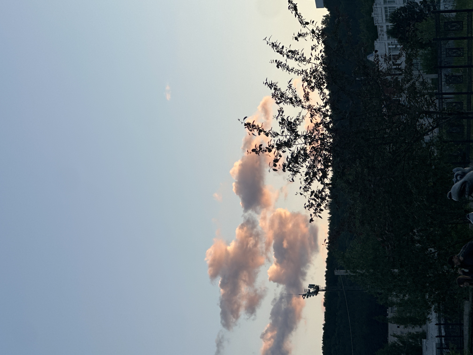 The image shows a sky with pale blue transitioning to a warmer tint near the horizon where pink-tinged clouds are visible. Along the right side of the frame, there is a tree with silhouetted branches and leaves. Behind the tree, a building is partially visible. There is also a fence along the bottom right, obscuring the view. In the lower-middle portion of the frame, there are tall utility poles and lines, seemingly running along a ridge. The location appears to be an urban or suburban area, with a mix of natural and built environments. The time of day seems to be either sunrise or sunset, given the colors in the sky.