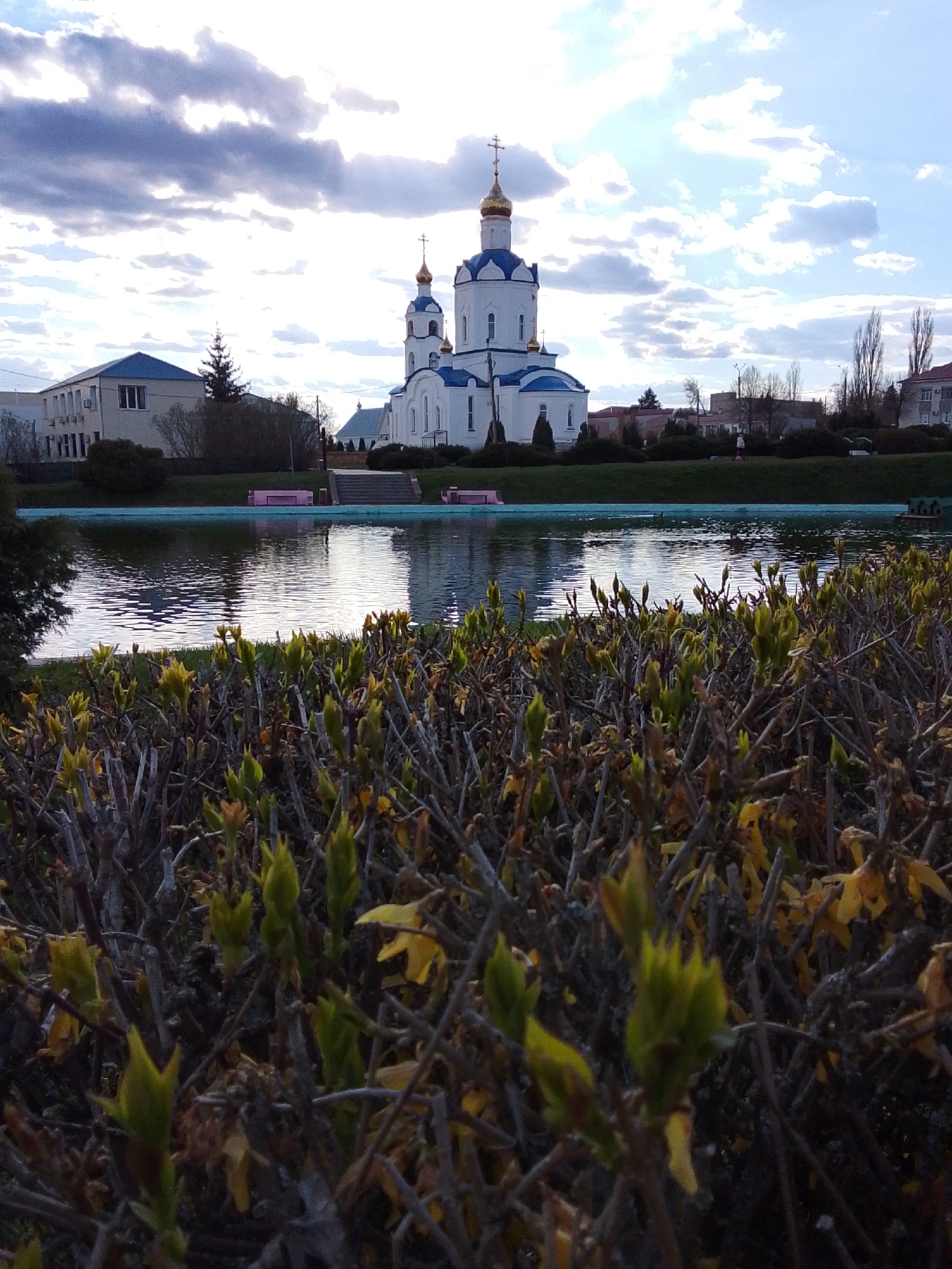 This image captures a serene spring scene in Khlevnoye, Russia, featuring an Orthodox church, a calm body of water, and burgeoning shrubbery under a dynamic sky.
In the mid-ground, a striking white Orthodox church with multiple blue domes, crowned with golden onion-shaped cupolas and crosses, stands prominently. Its reflection is visible in the smooth surface of the pond or lake in front of it. On the far side of the water, several pink benches are placed along the bank. To the left of the church, a large, light-colored building with a blue roof and a tall conifer tree are visible. Further in the distance, on the right, other buildings and leafless trees line the horizon. A lone person can be seen walking on the grass bank beyond the pond.
The foreground is filled with dense shrubbery, indicating the arrival of spring with numerous bright green new buds emerging from the branches. Some older, dried leaves are still clinging to the branches, contrasting with the fresh growth. The perspective is low, looking over and through these plants towards the main subjects.
The sky is a notable element, characterized by large, textured grey and white clouds, with patches of clear blue sky peeking through. The lighting suggests late afternoon or early evening, with the sun, likely low, creating bright reflections on the water. The scene exudes a peaceful and tranquil atmosphere. There is no visible text in the image.