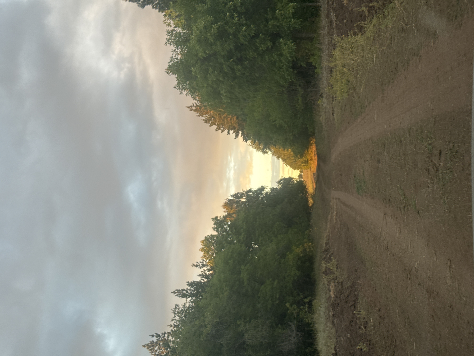 The image depicts a dirt road that forks in the foreground, leading towards a treeline under a cloudy sky. The sky is filled with gray and white clouds, with a soft, warm light of sunset visible in the distance where the road disappears between the trees. On either side of the road, dense green trees form a natural corridor, with the sunlight illuminating the tops of the trees on the right side of the image. The ground is a mixture of dirt and sparse grass, with some mounds of dark soil visible to the left of the road in the foreground. The overall scene suggests a rural or natural setting, possibly on the outskirts of a settlement. The location is identified as Khutorka, Russia. There are no people or animals visible in the image, and no actions or interactions are depicted. The image appears to be a landscape photograph taken during the late afternoon or early evening.